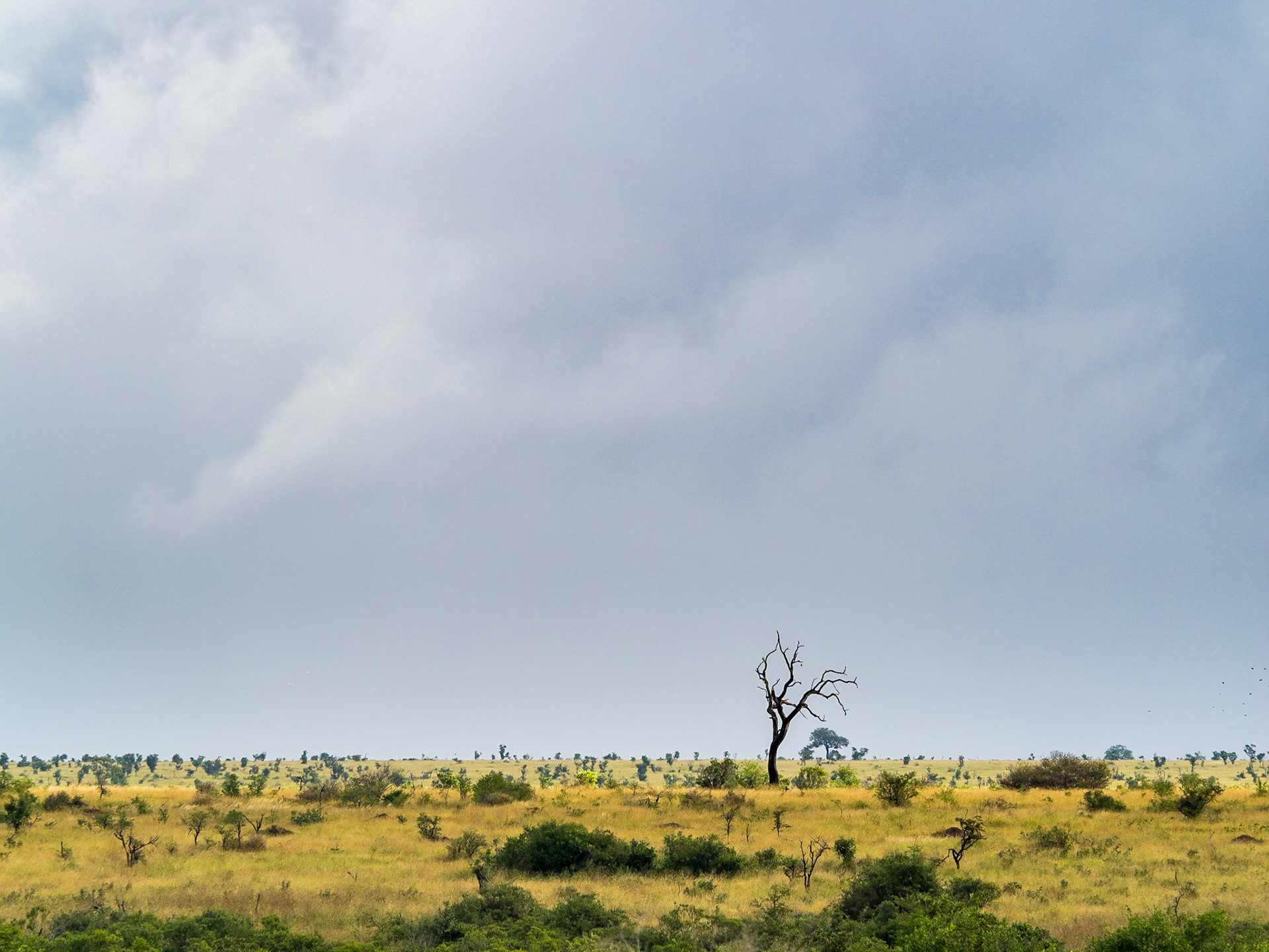 Kruger National Park