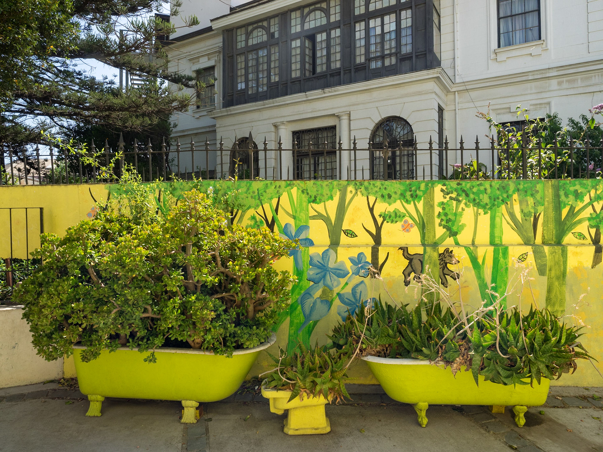 Valparaiso est la ville bohème par excellence. Bien que la partie la plus typique soit toute petite, elle est dédiée à un art de vivre doux, languissant et arty. Ici, les fleurs poussent dans les baignoires sous l'école de musique.