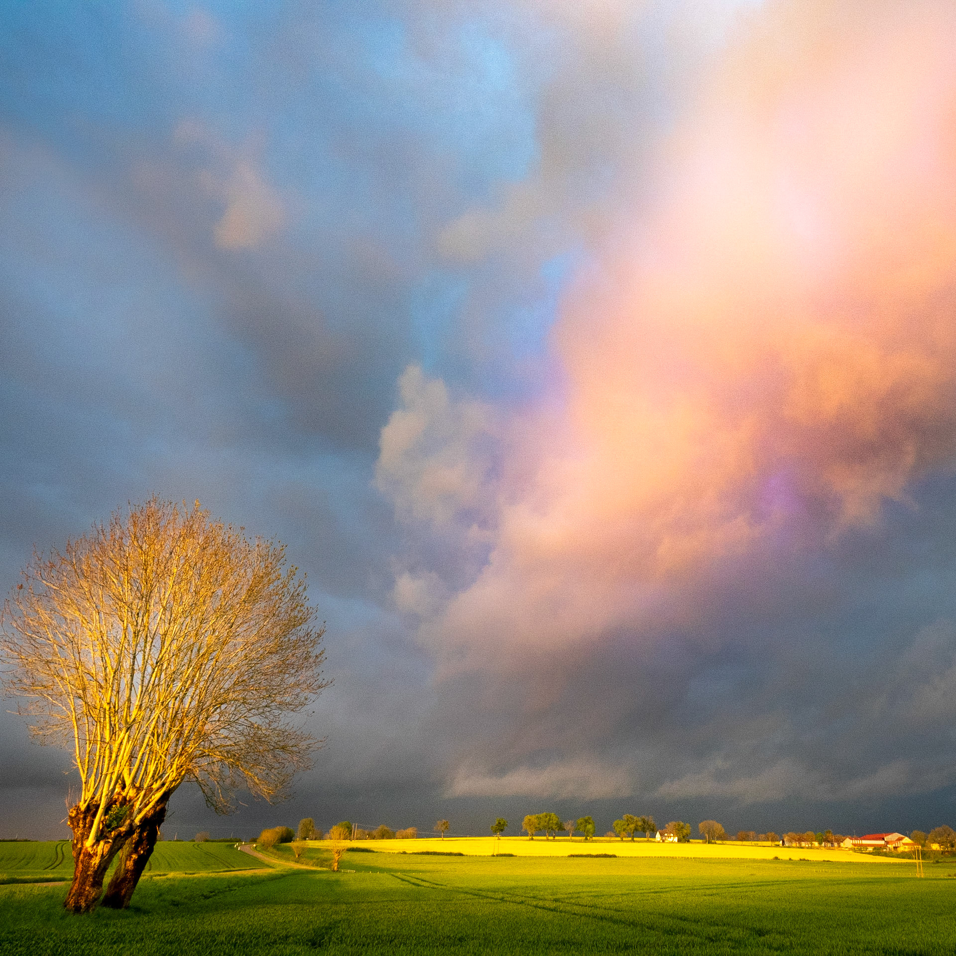 NAture Photographer, Just open your eyes. Clouds, Fields, Trees and storm.