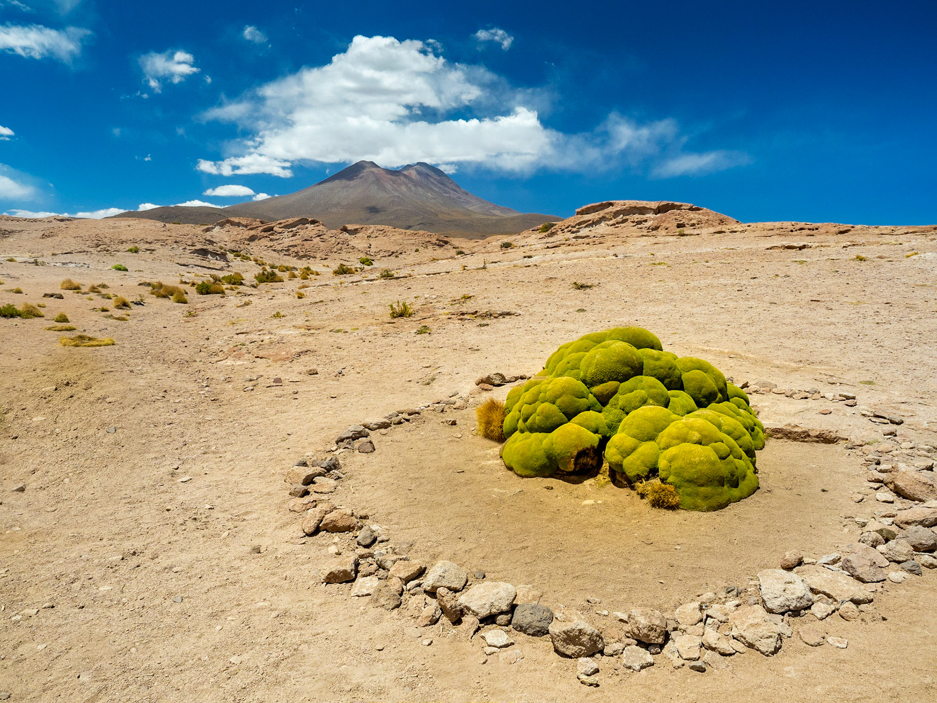 Sud Lipez, entre Uyuni et le Chili.