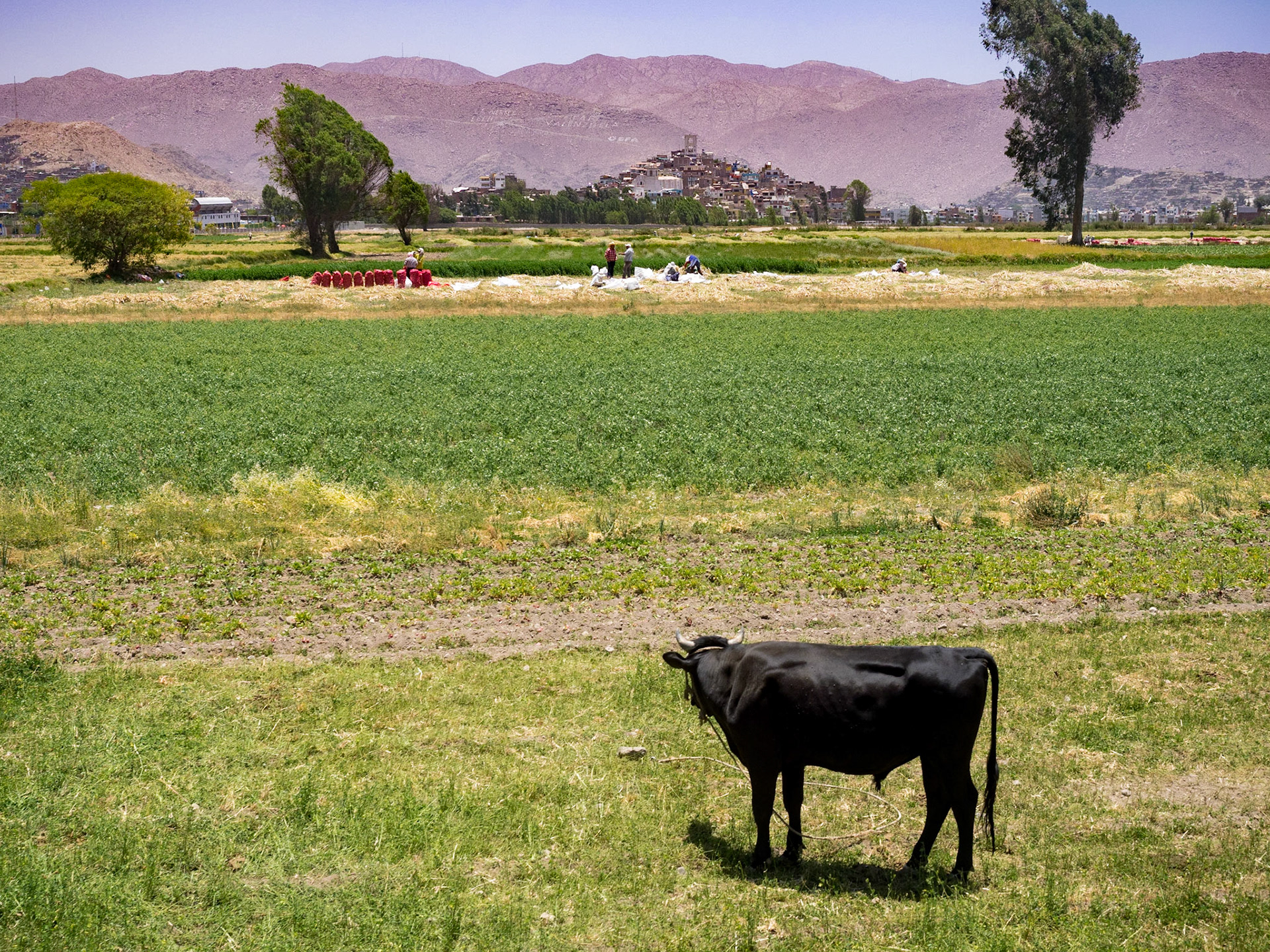 Les alentours d'Arequipa
