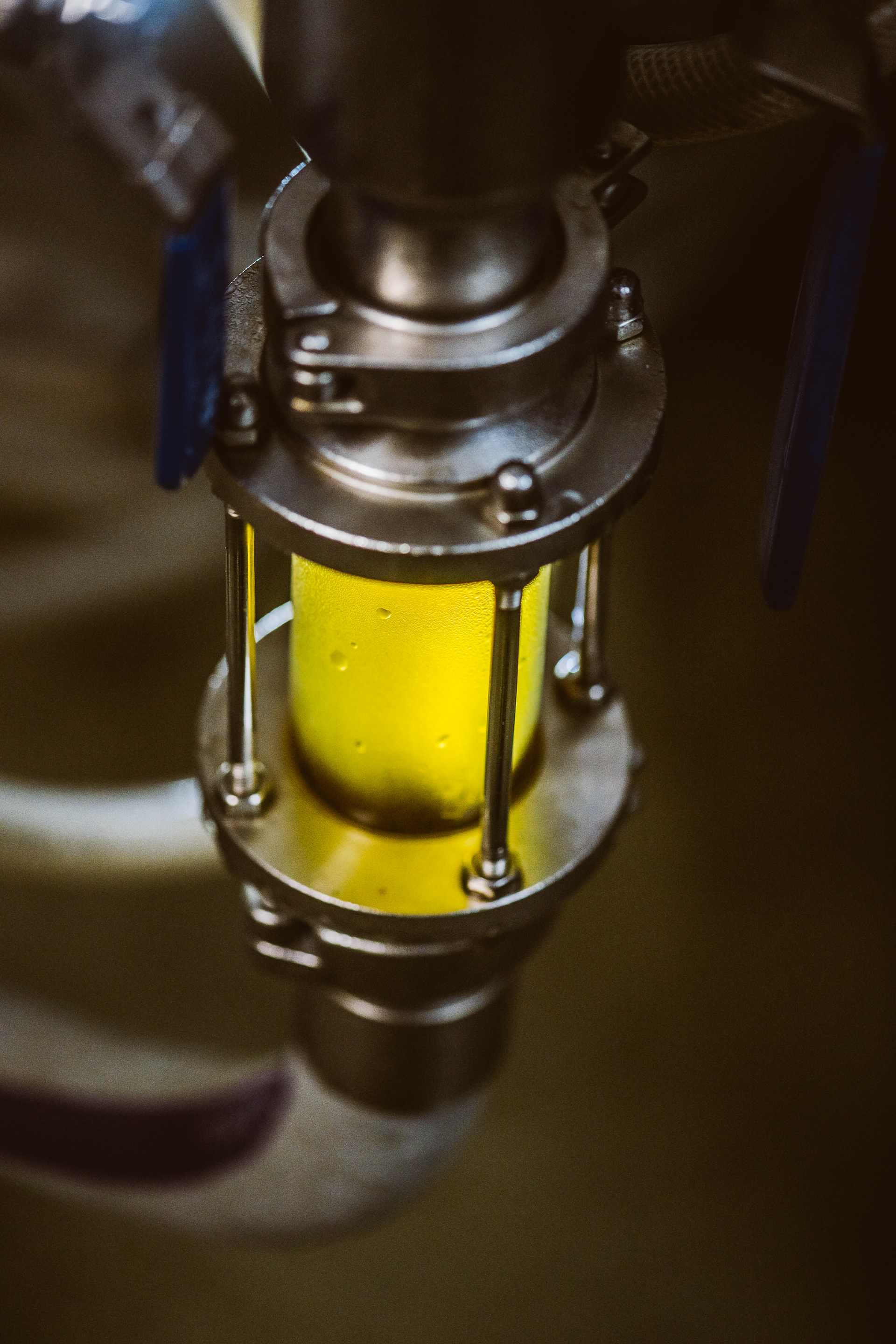 Brassage bière - Barberie