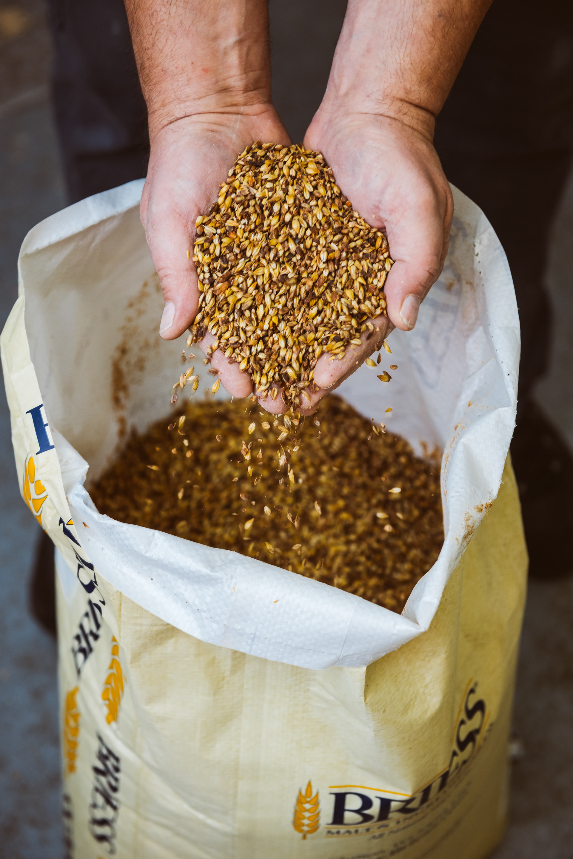 Brassage bière - Barberie