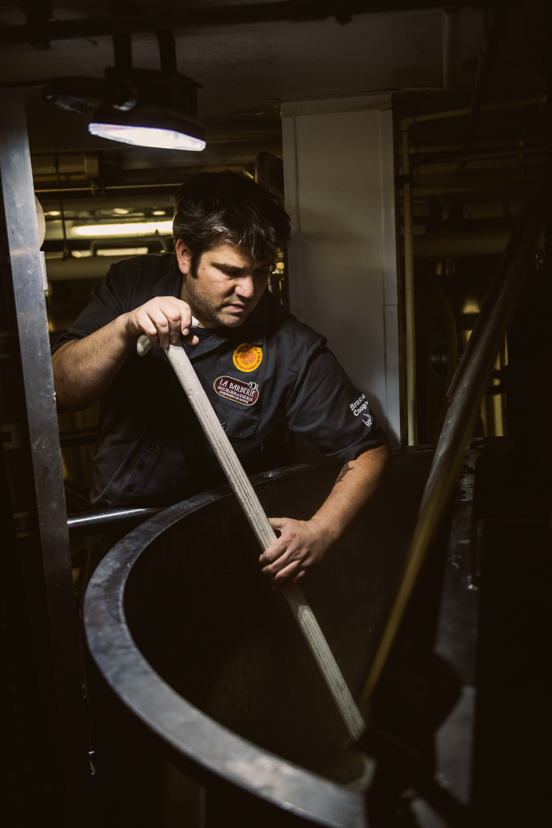 Brassage bière - Barberie