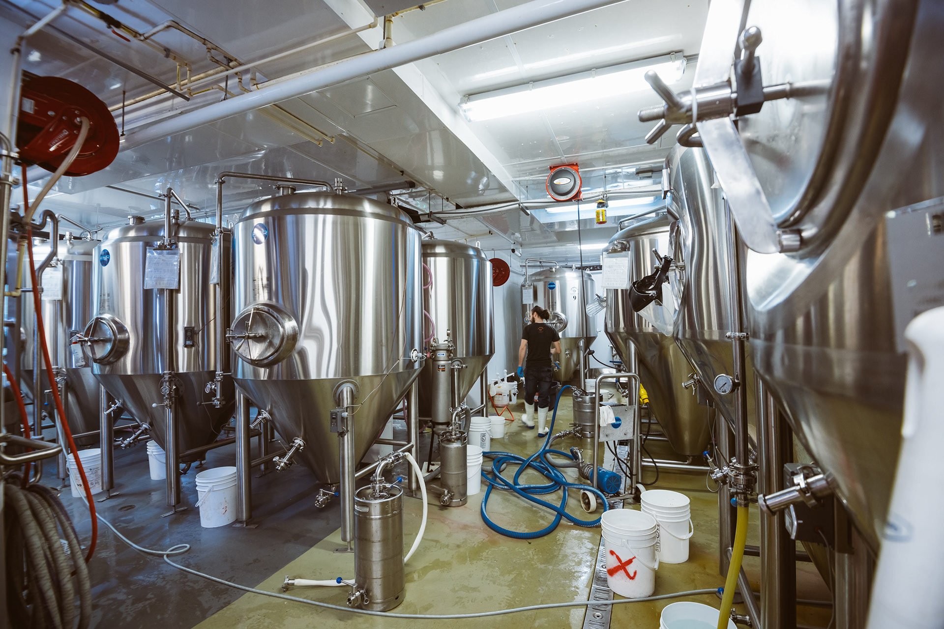 Brassage bière - Barberie