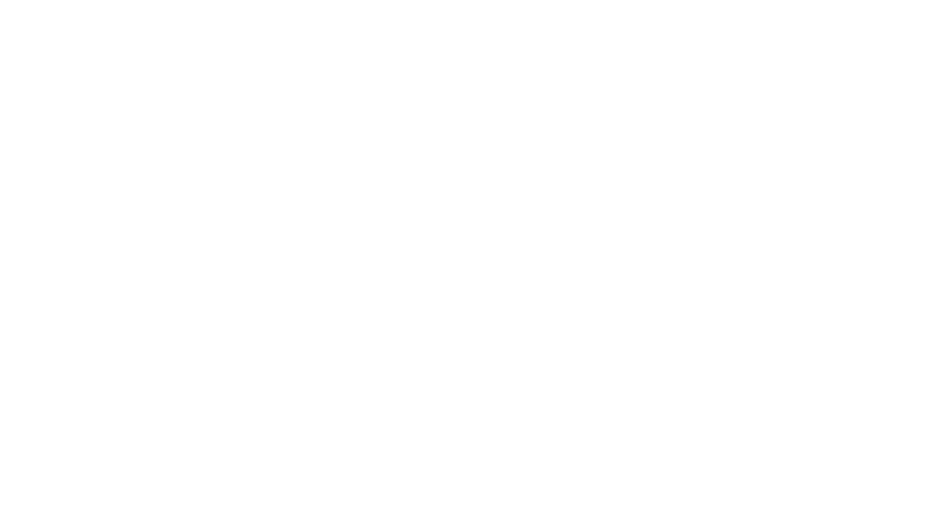 H O U N D