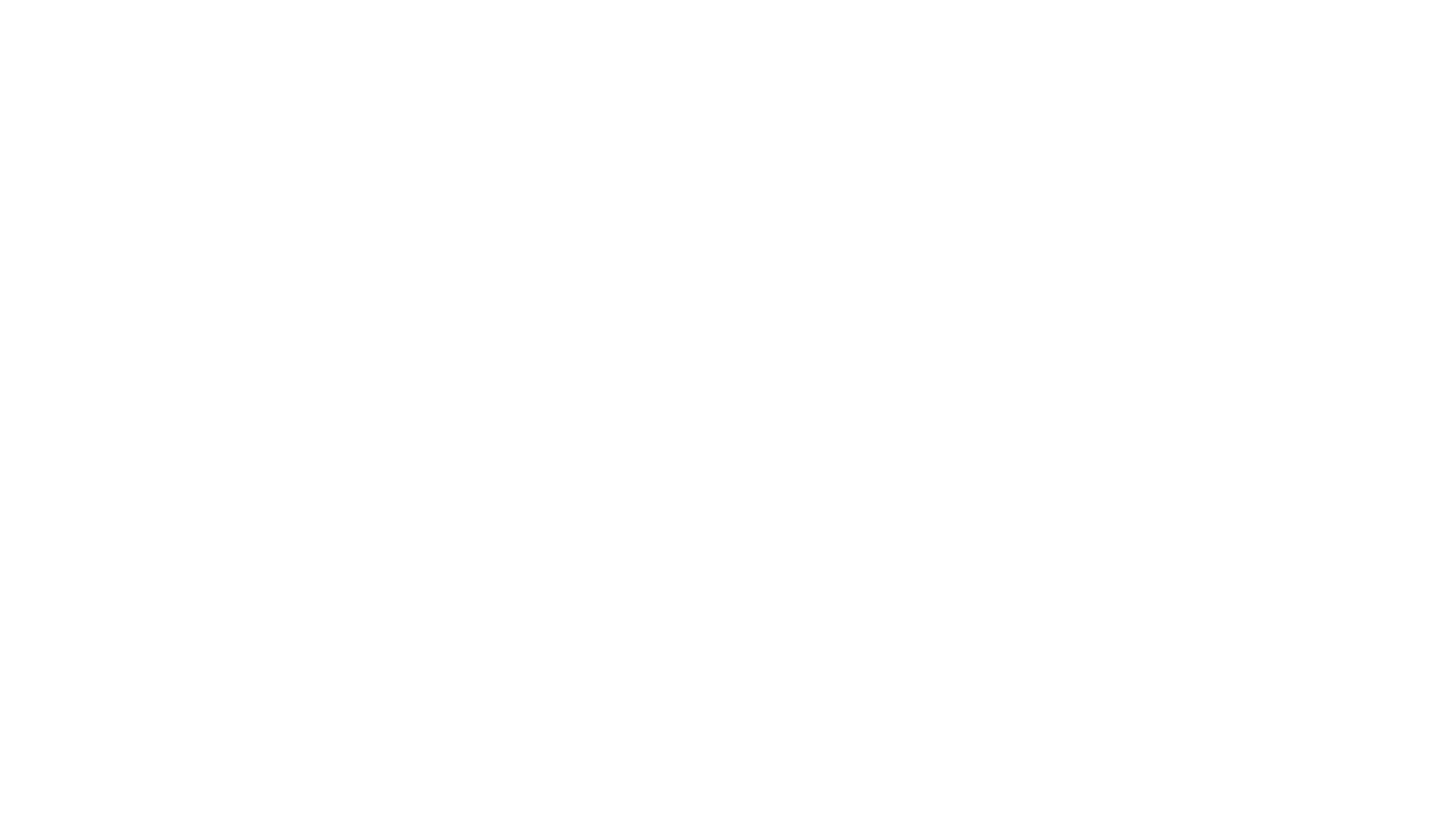 H O U N D