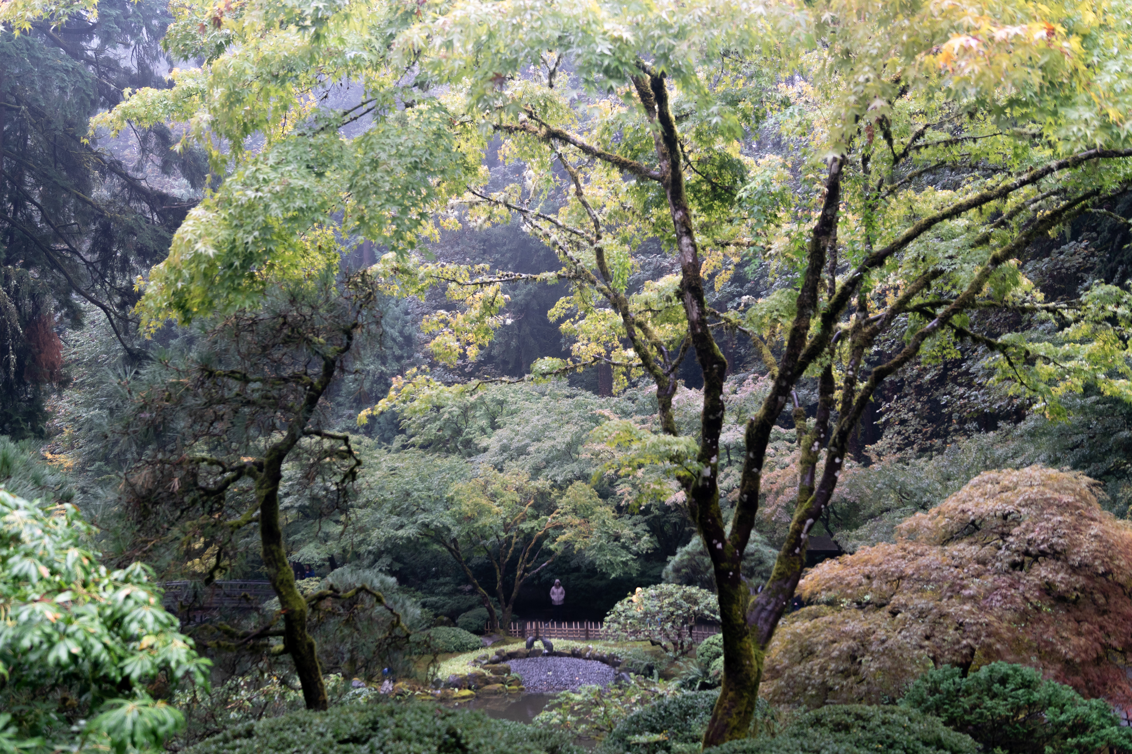 Portland Japanese Gardens
