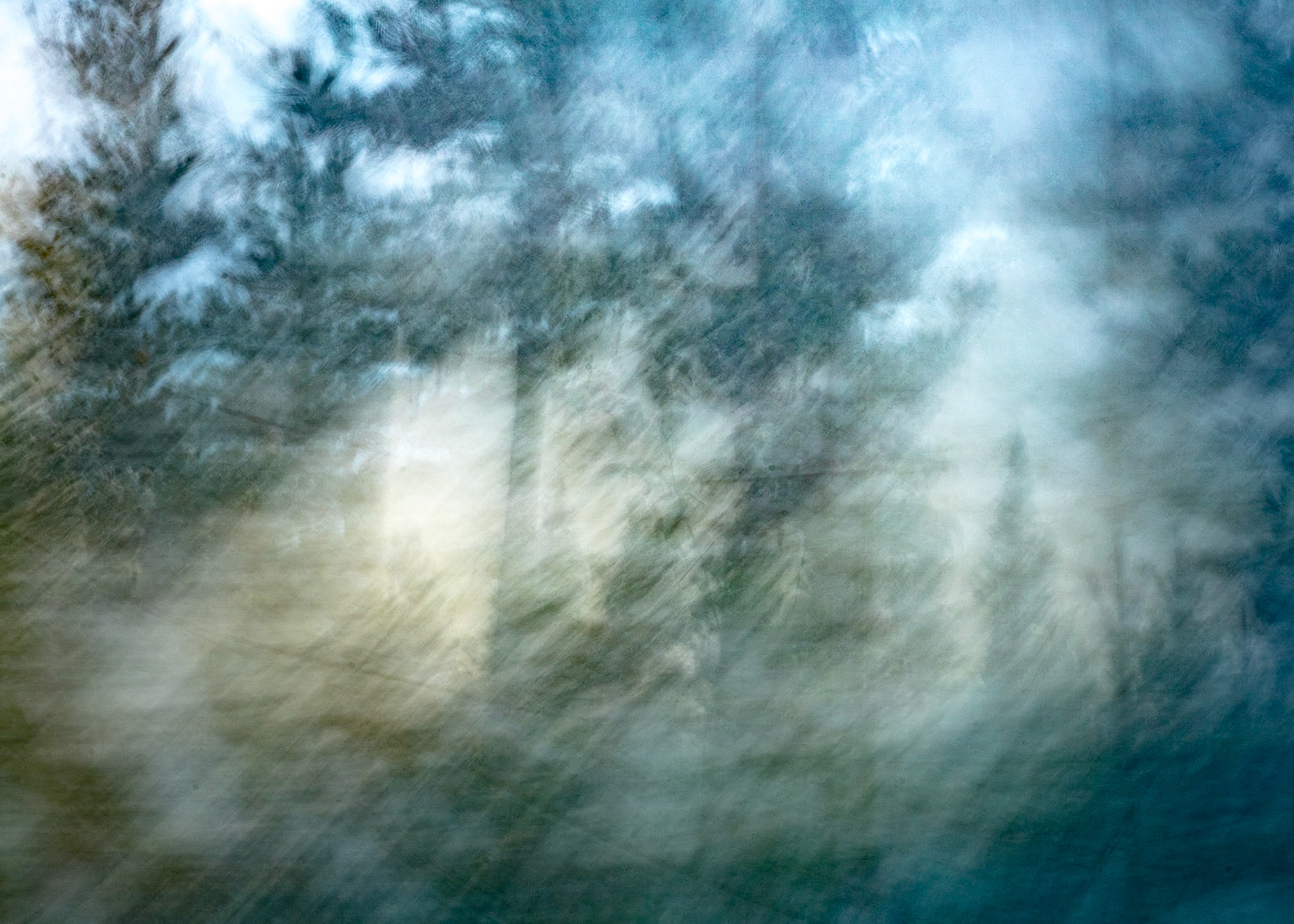 Artic Forest Night, Sweden 2024 - 50x40cm 300€