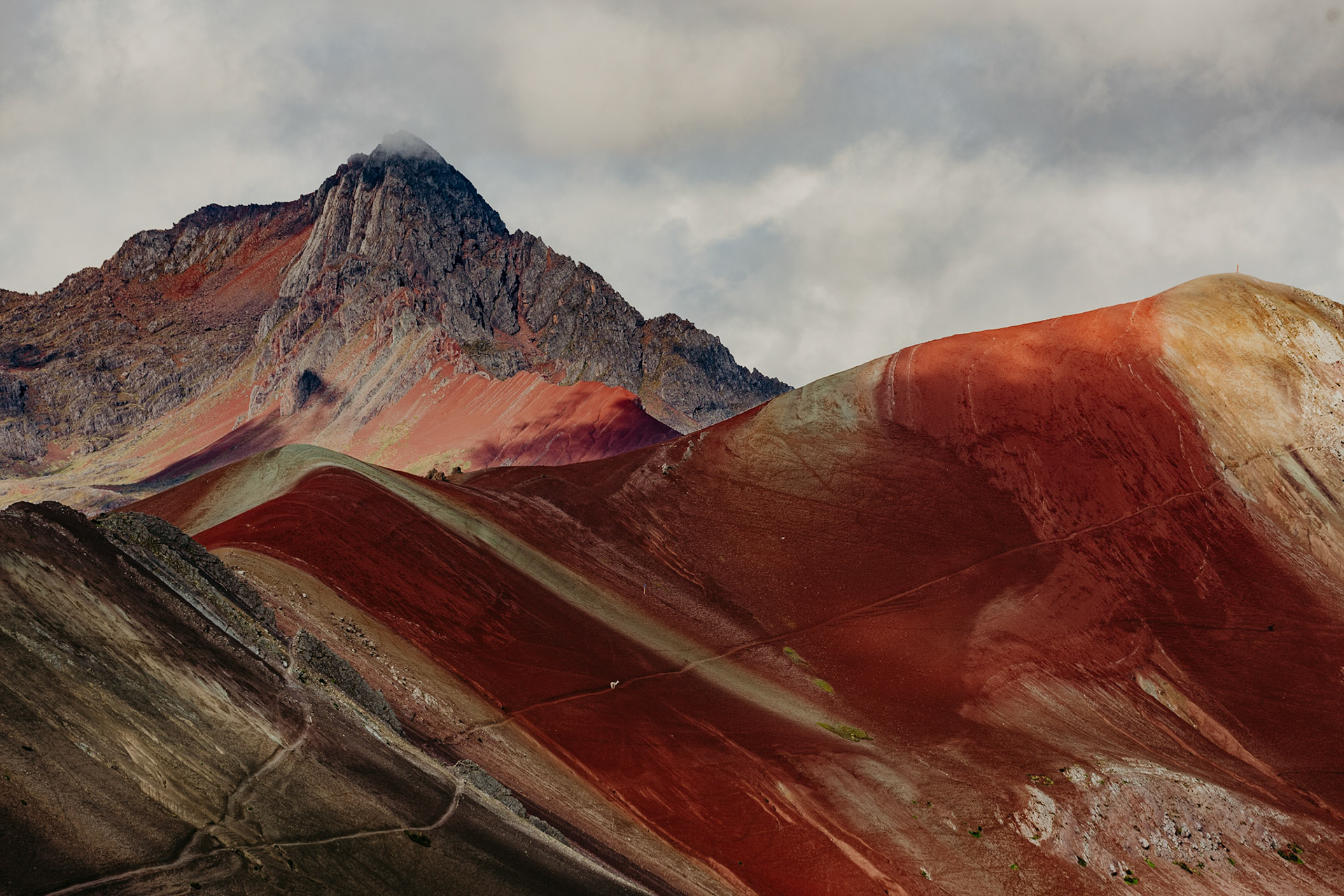 Find me, Peru 2024 - 100x70cm 800€