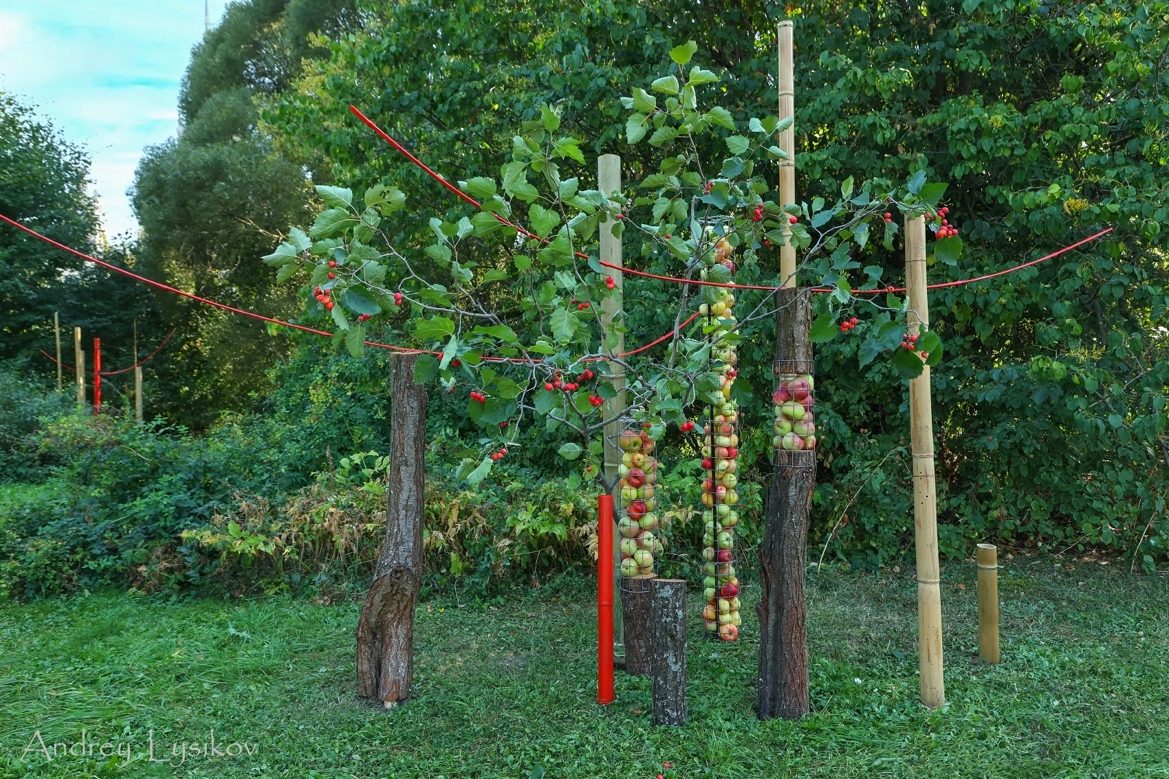 Фото А.Лысикова