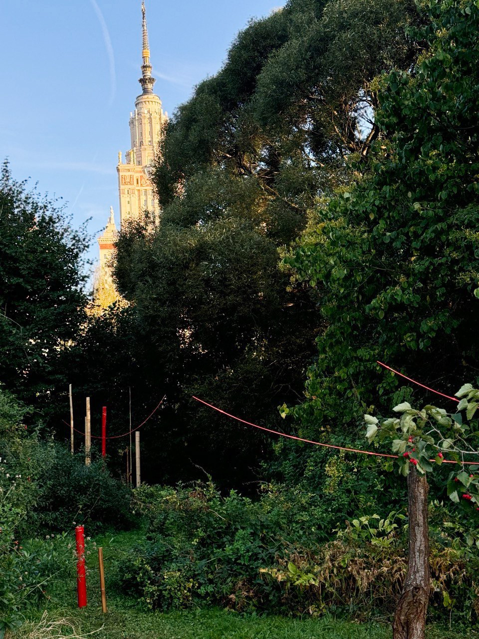 Ботанический сад МГУ