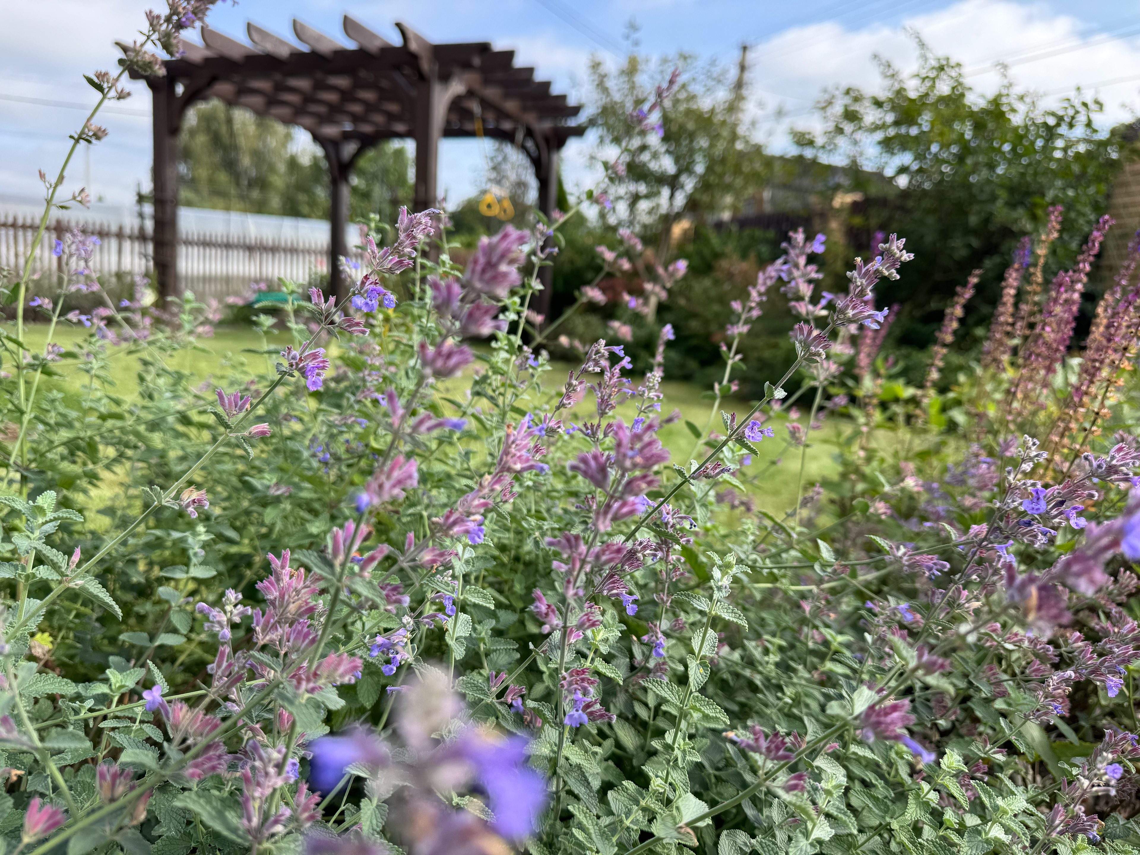 КУПАВНА_осень