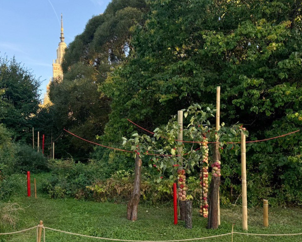 Ботанический сад МГУ