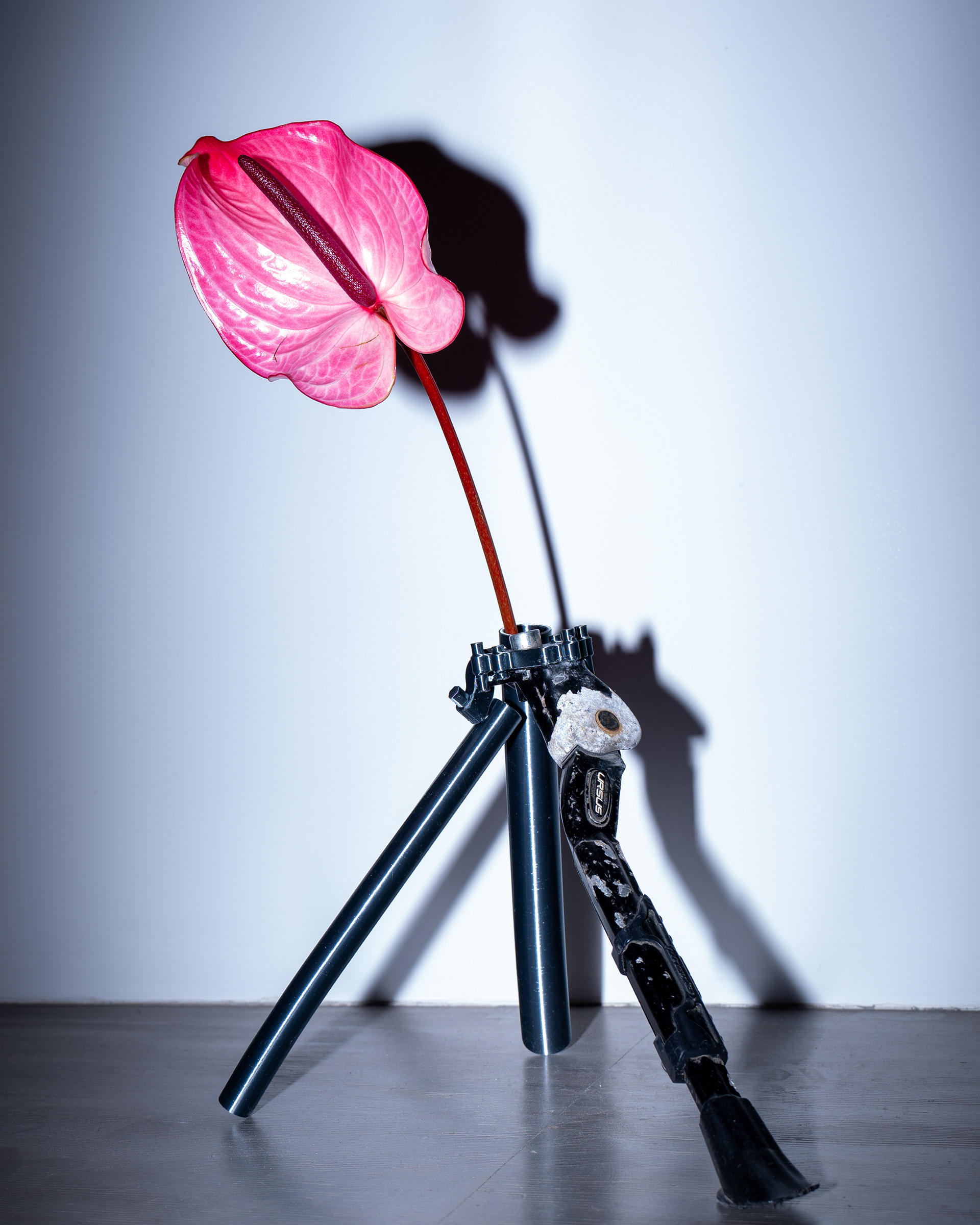 Photographed  artists’ Mal Yu's DesignTO's "Kick, Stand!" exhibit at Fix Coffee + Bikes.