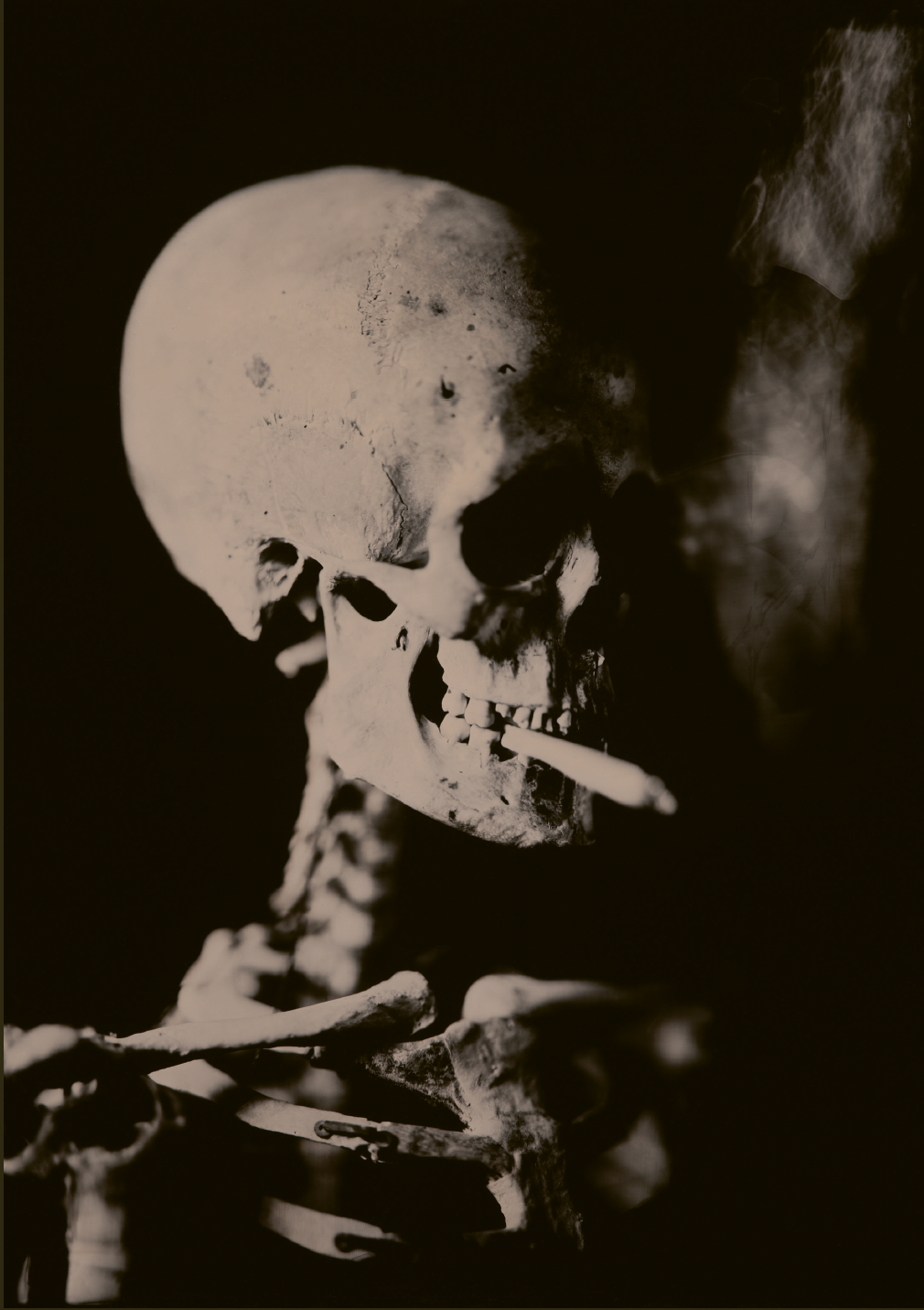 Skull of a skeleton with a burning cigarette, Hans de Kort https://shorturl.at/kJ8Qm