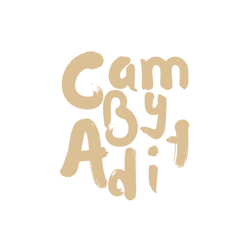 CAM BY ADIT