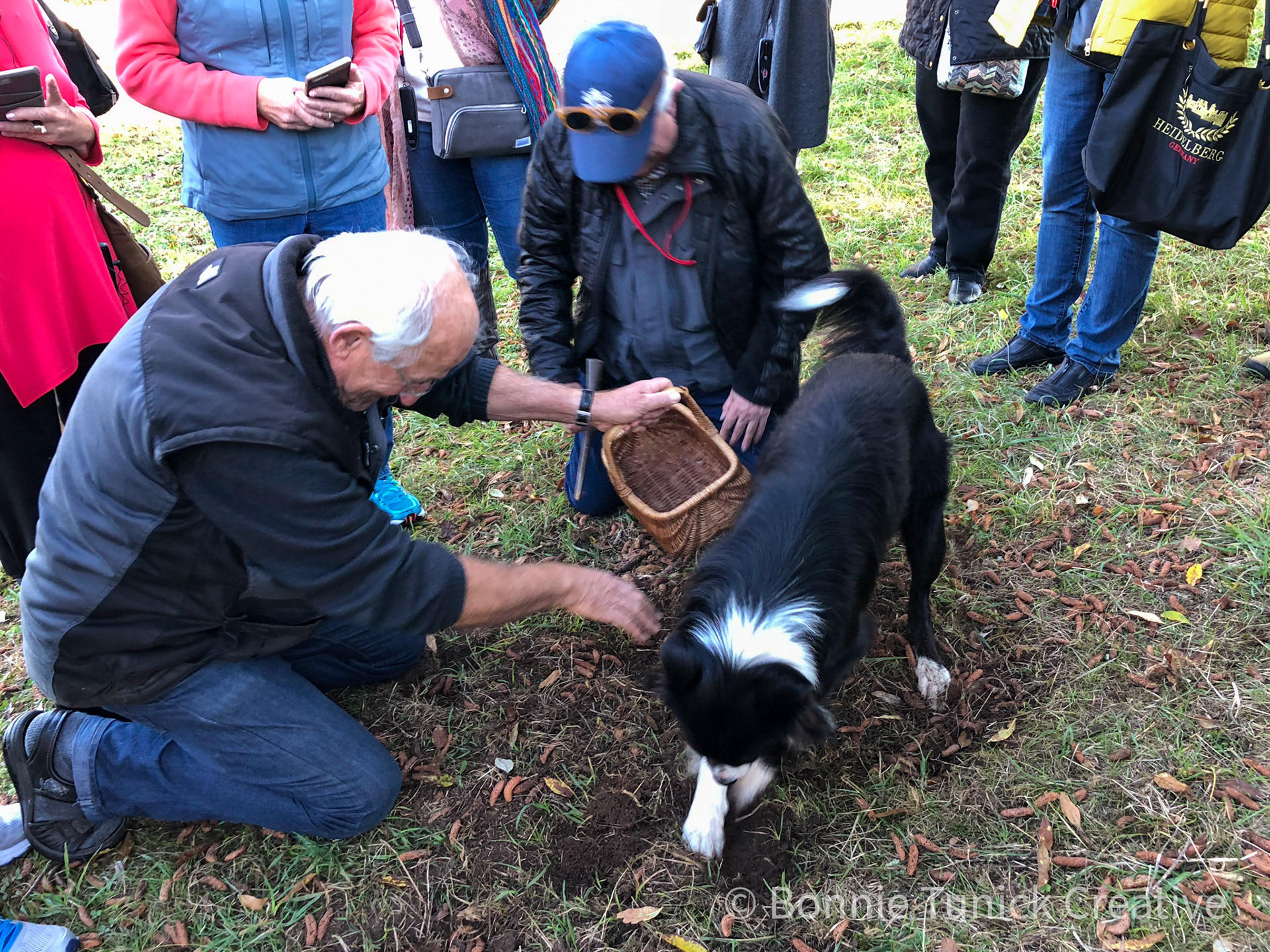 Saint-Cyprien, France