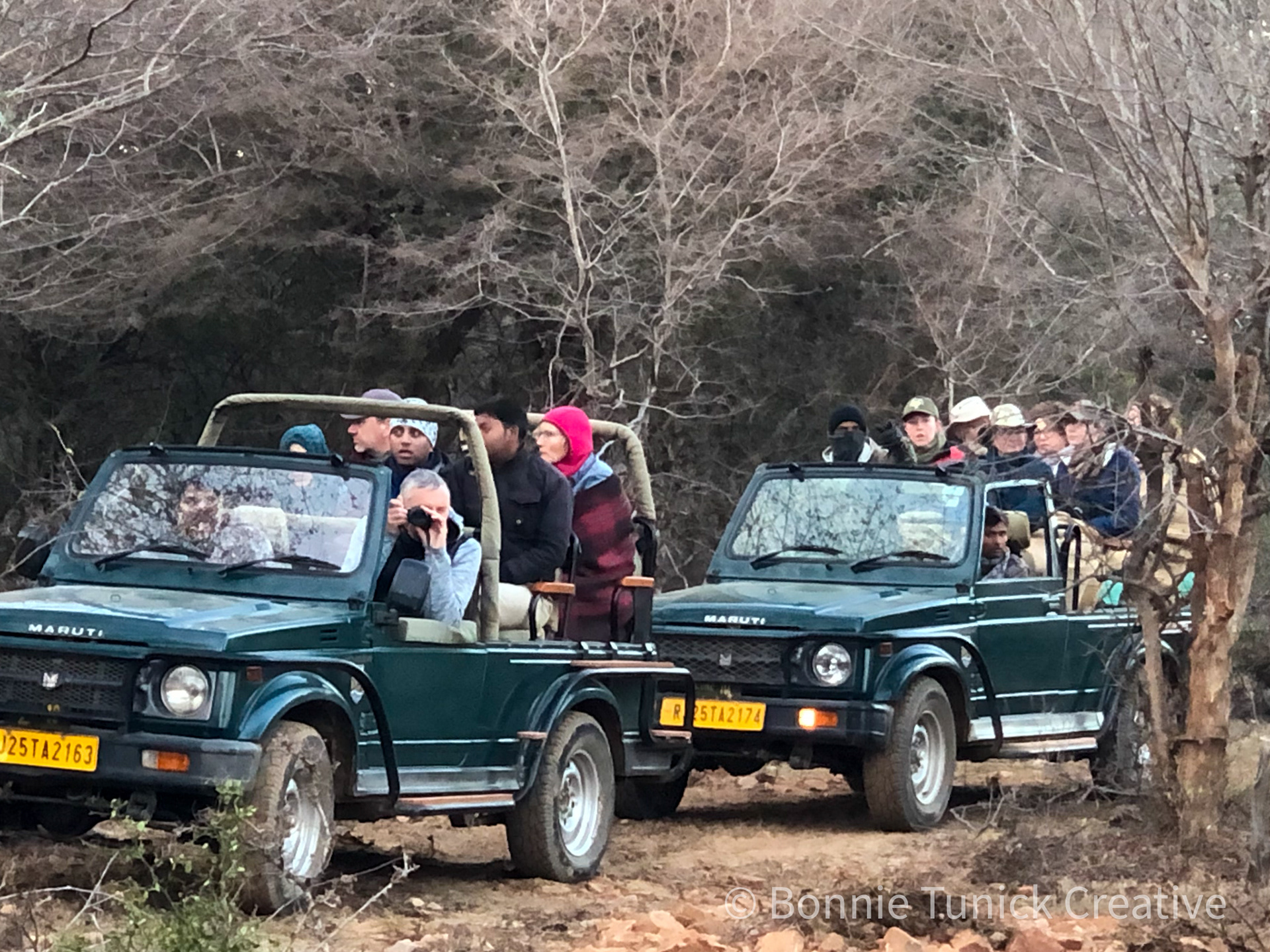 Sawai Madhopur, India