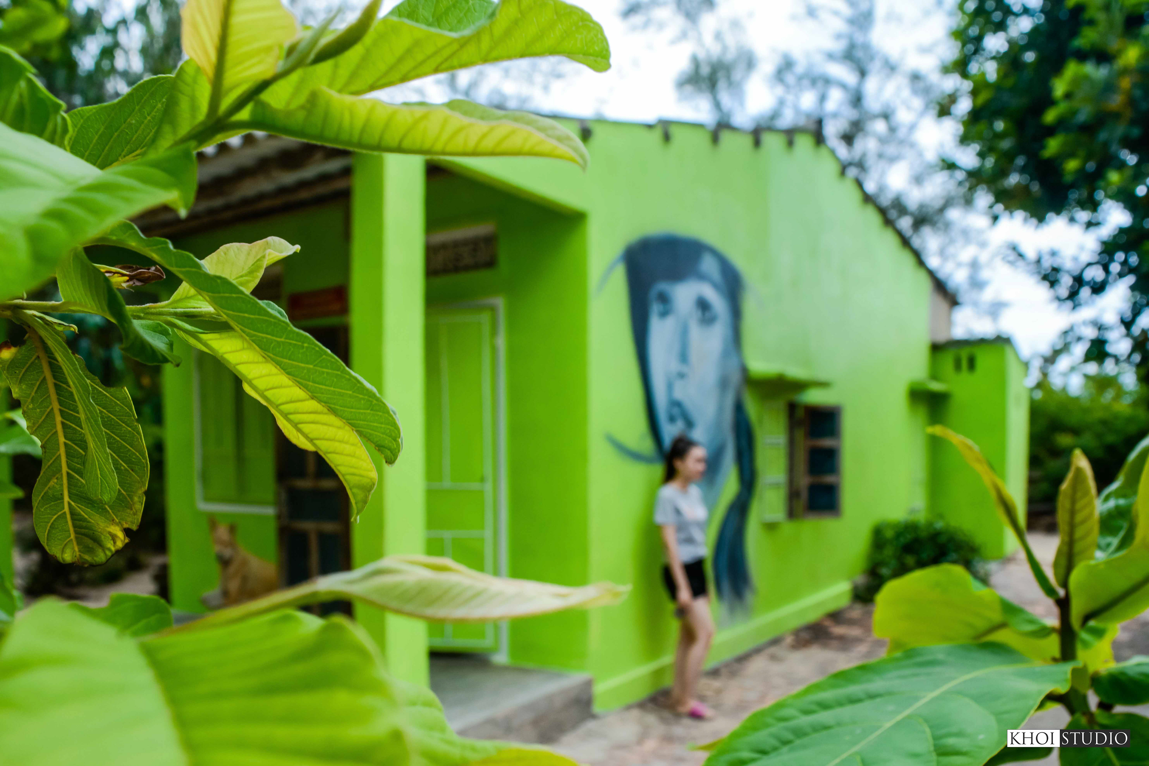 Tam Thanh Mural Village | Làng Bích Họa Tam Thanh