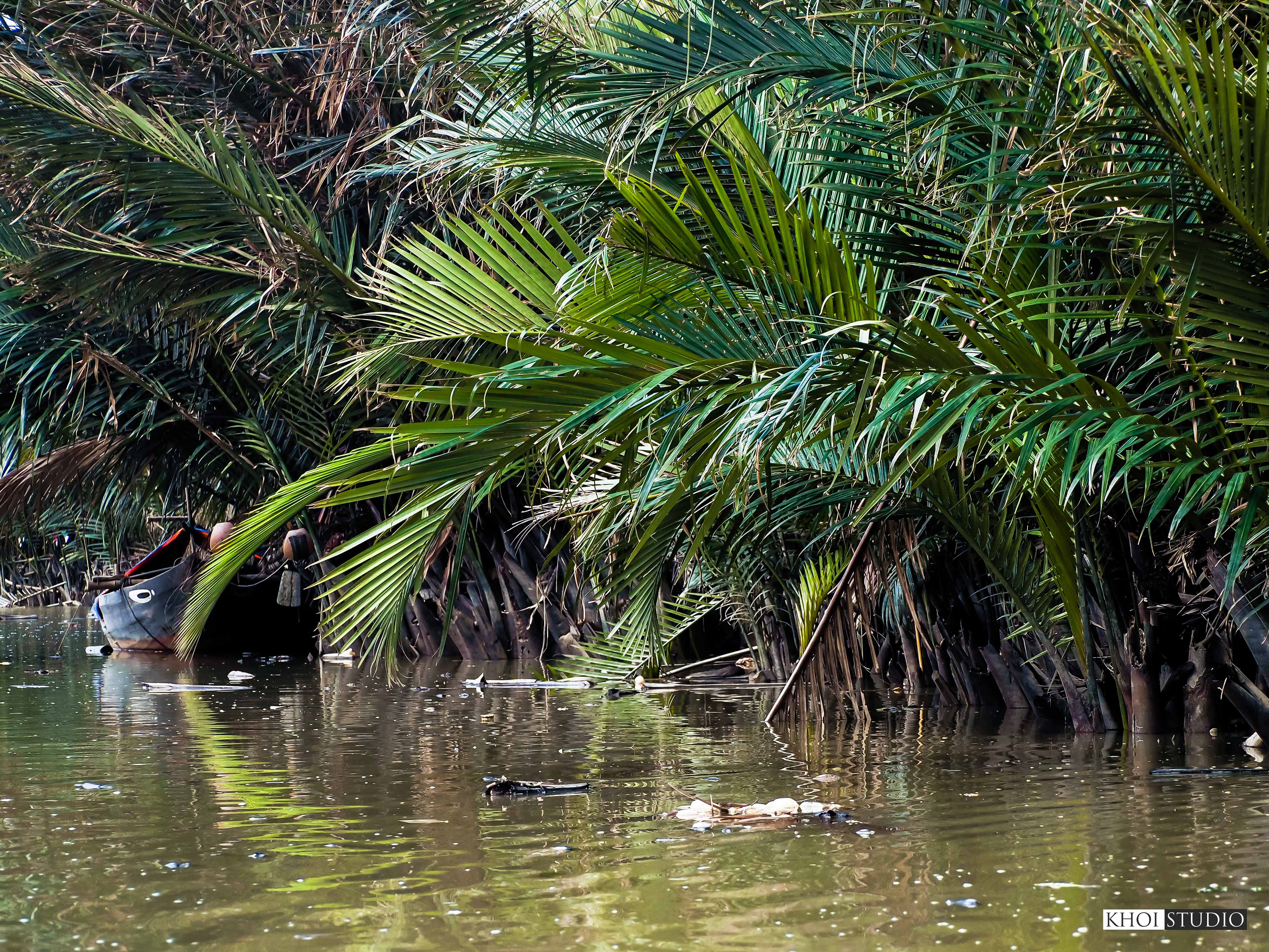 UNESCO Vietnam's event in Hoi An