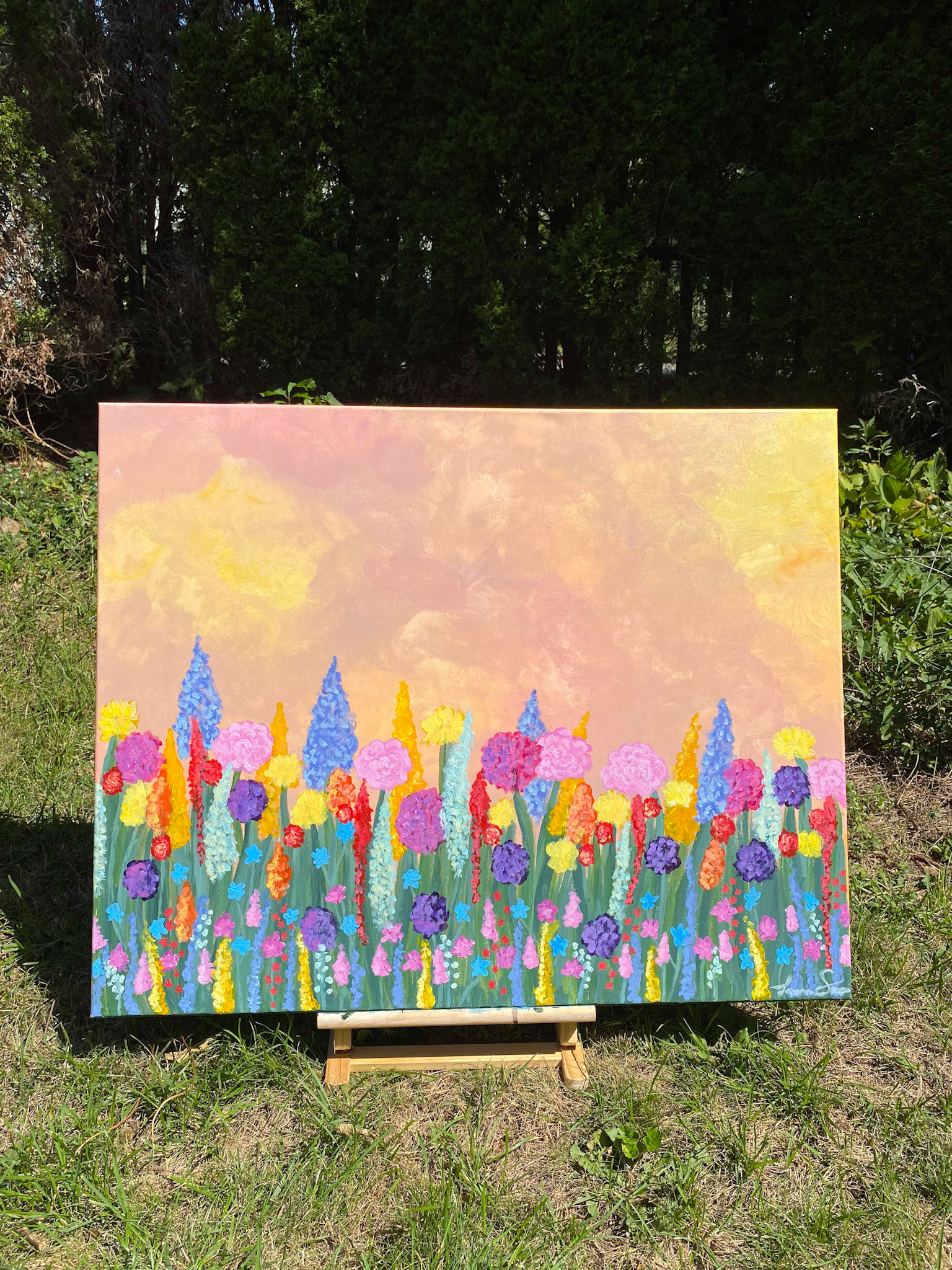 Land of Fields and Flowers