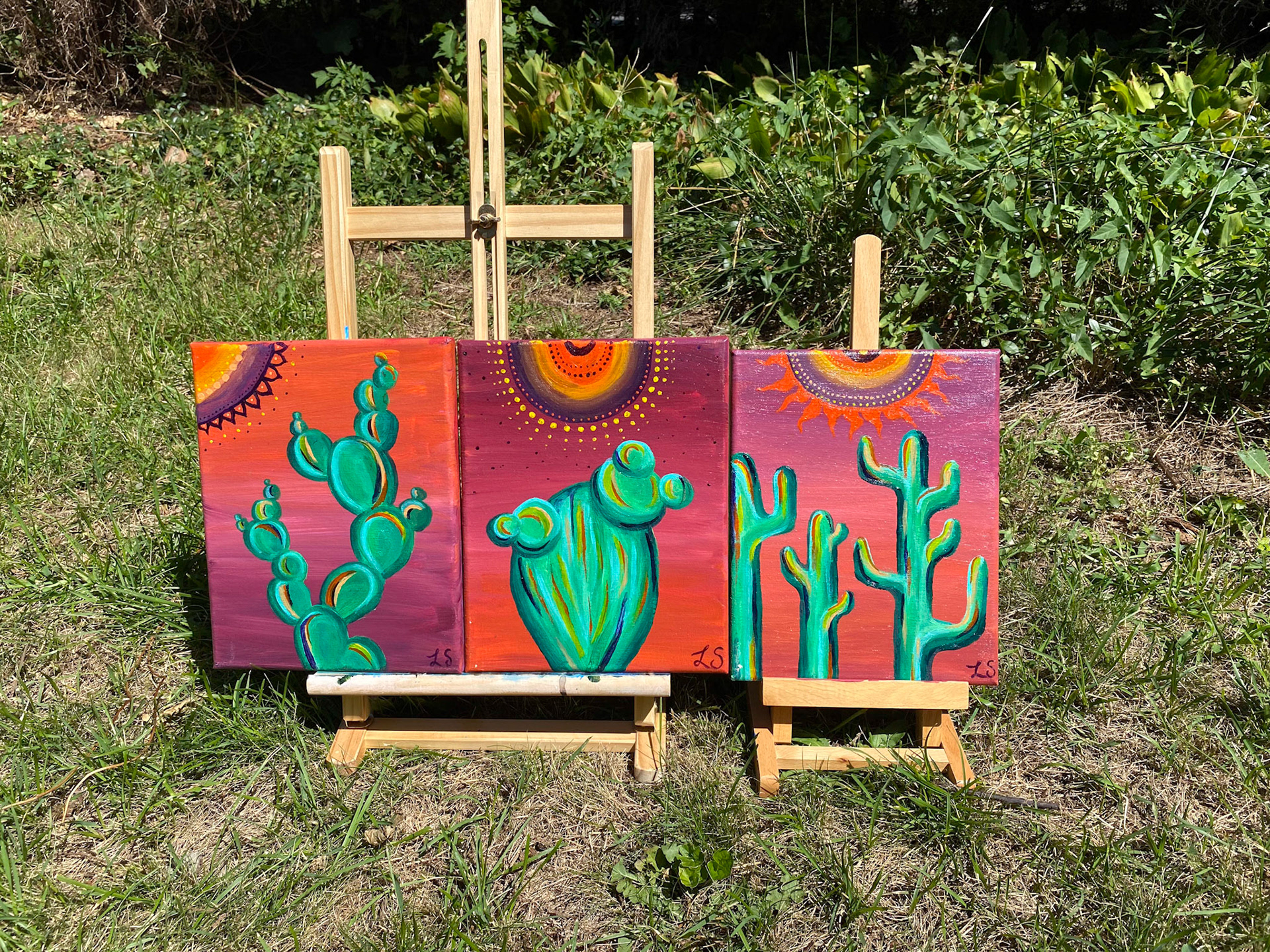 Desert Cactus at Sunset 