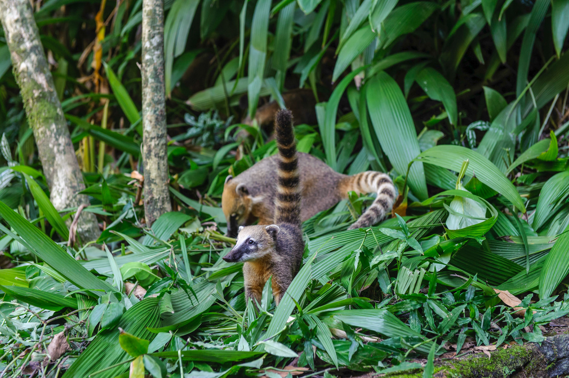 Rio de Janeiro, Brazil, May 2016. Photo: Rogério von Krüger