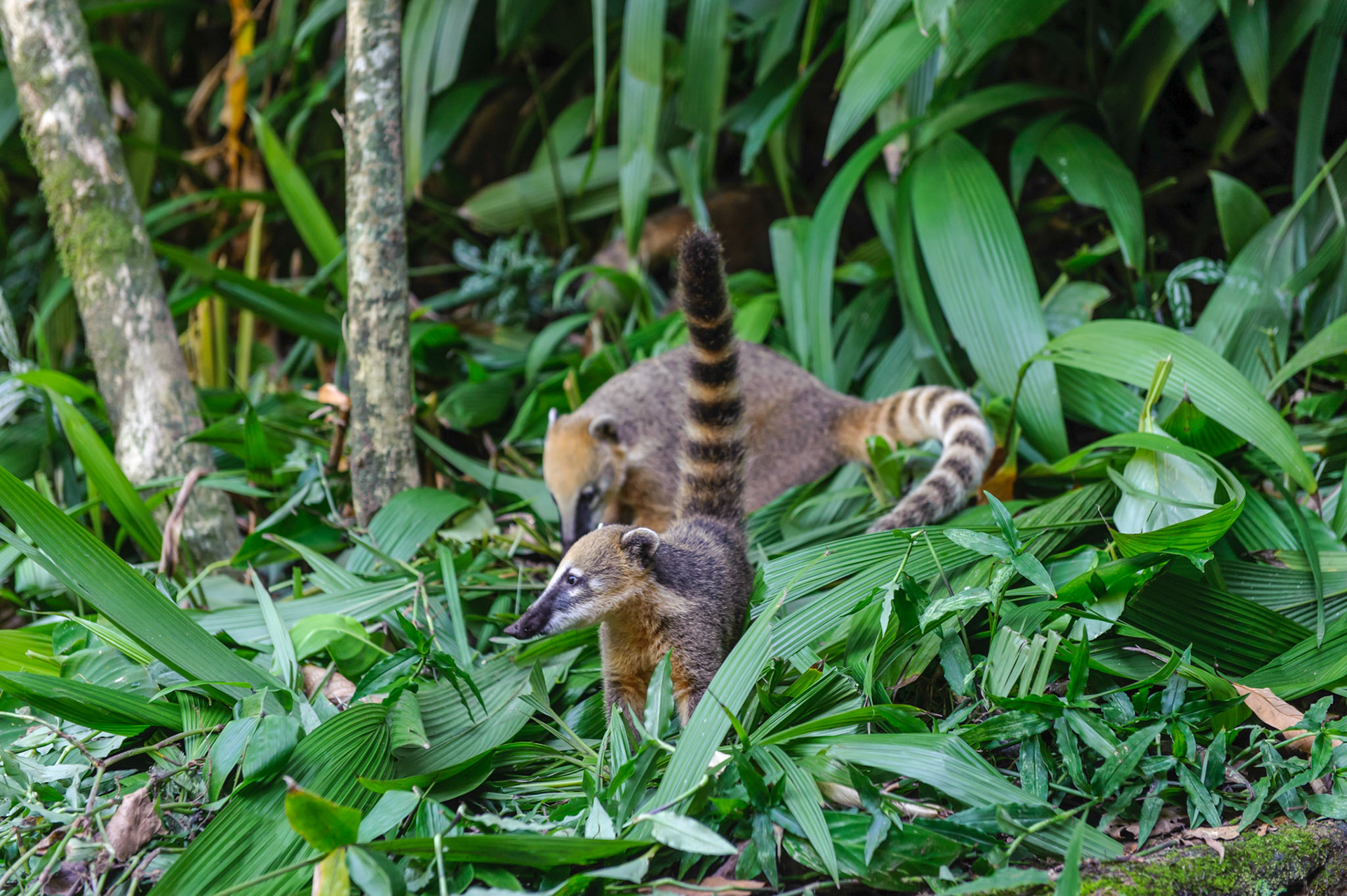 Rio de Janeiro, Brazil, May 2016. Photo: Rogério von Krüger