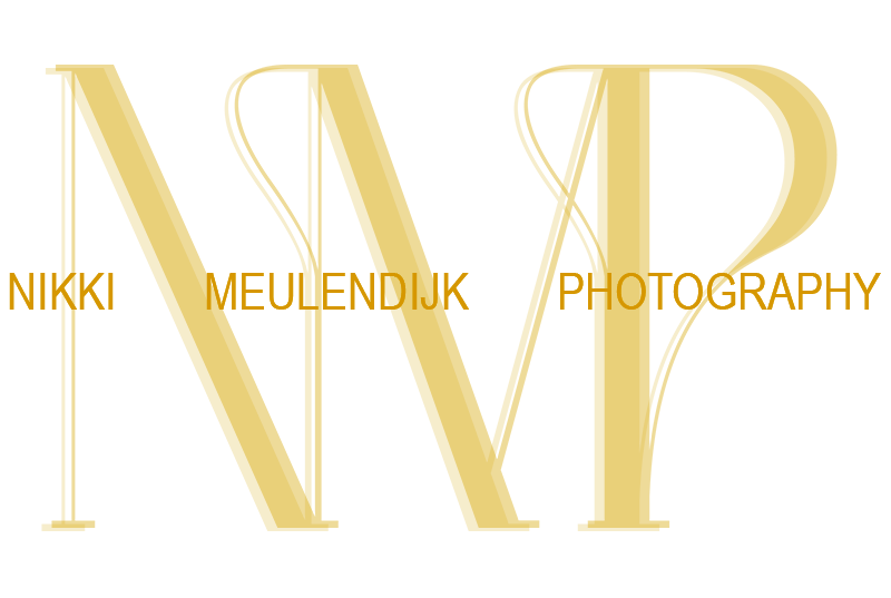 Nikki Meulendijk