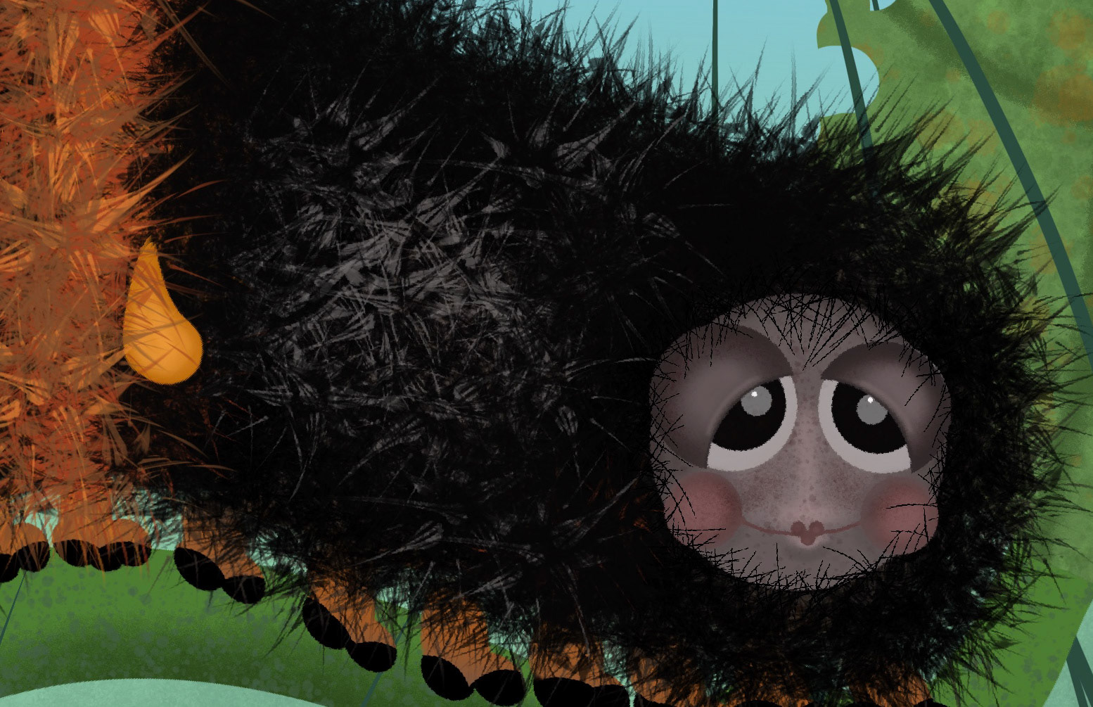 Wooly Bear Caterpillar 