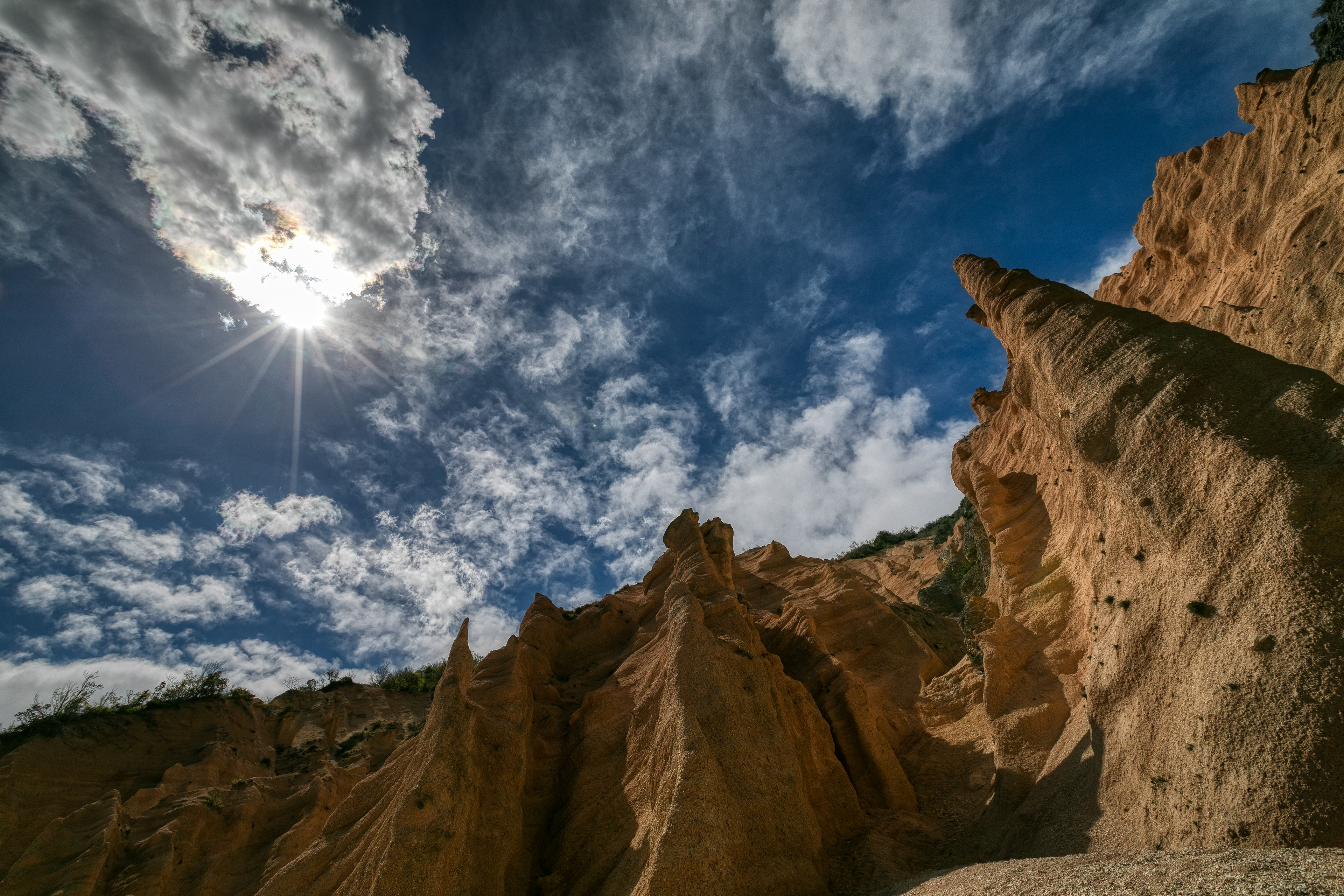 Lame Rosse