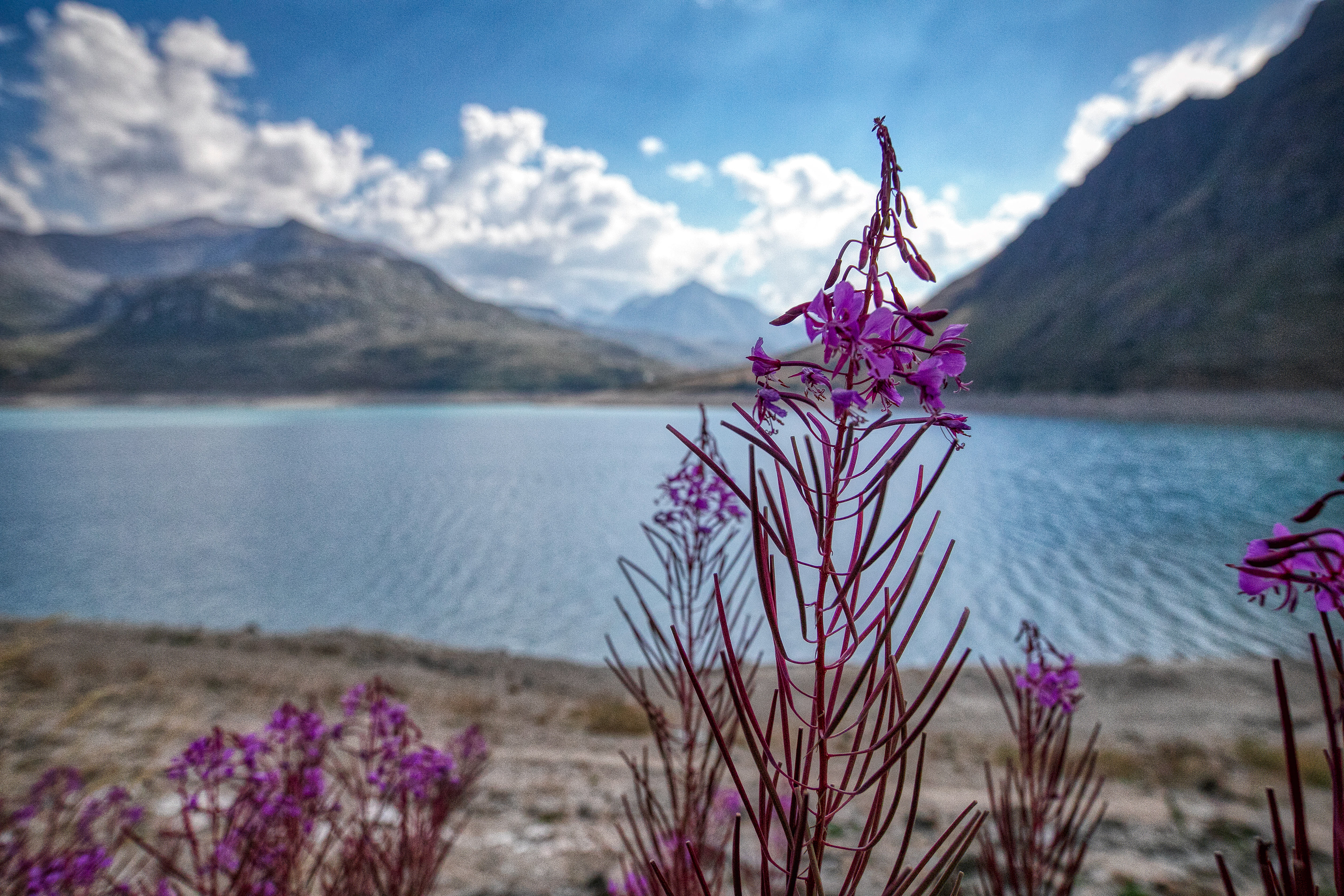 Moncenisio Lake
