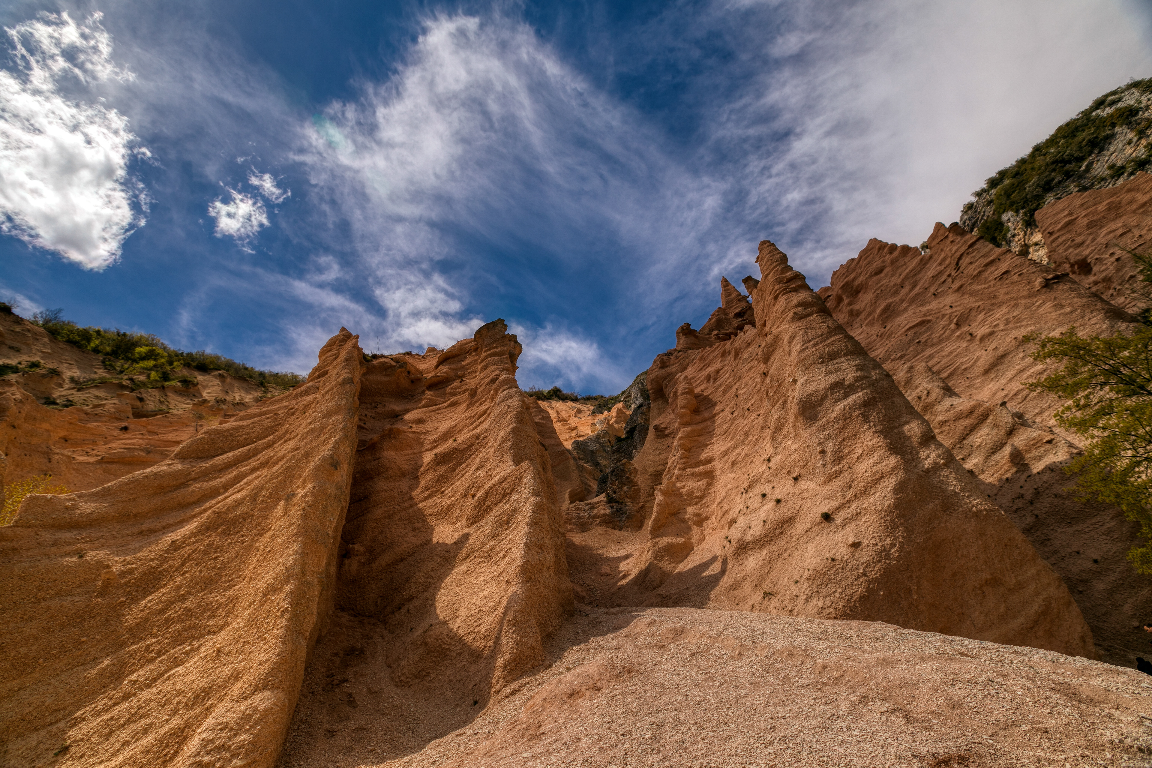 Lame Rosse