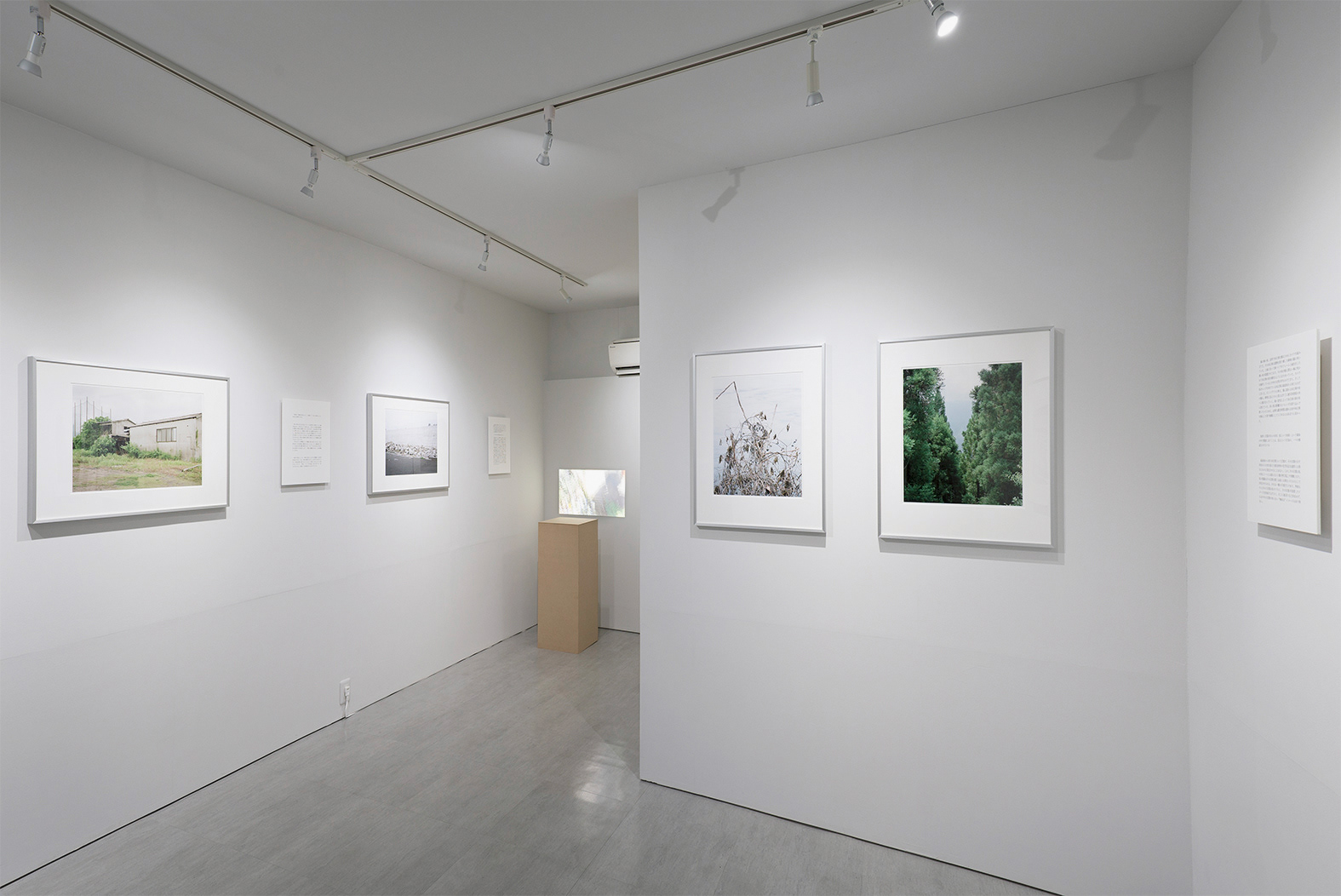 2017.01 写真へのメモランダム, Alt_Medium