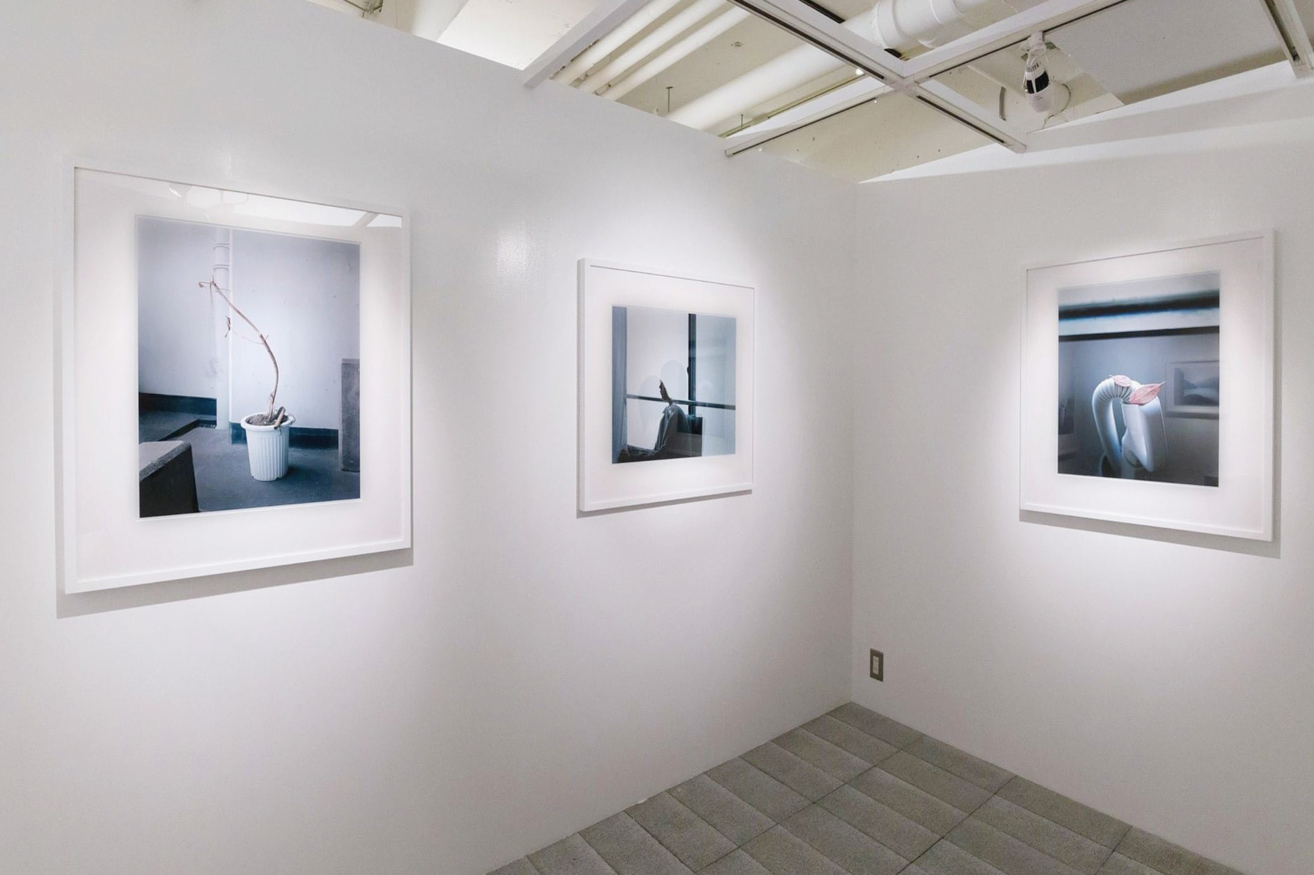 2015.10 Medium (six or forty photographs), 平間写真館TOKYO