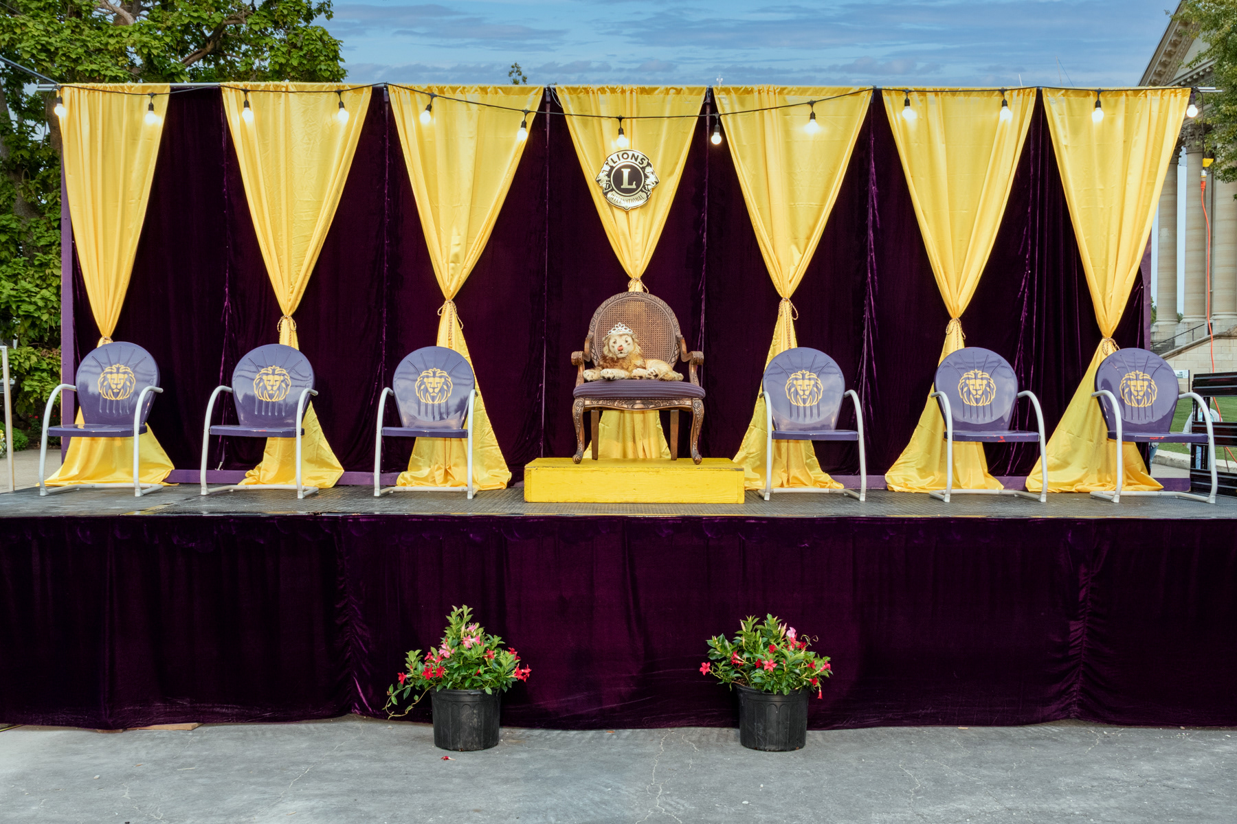 New Stage