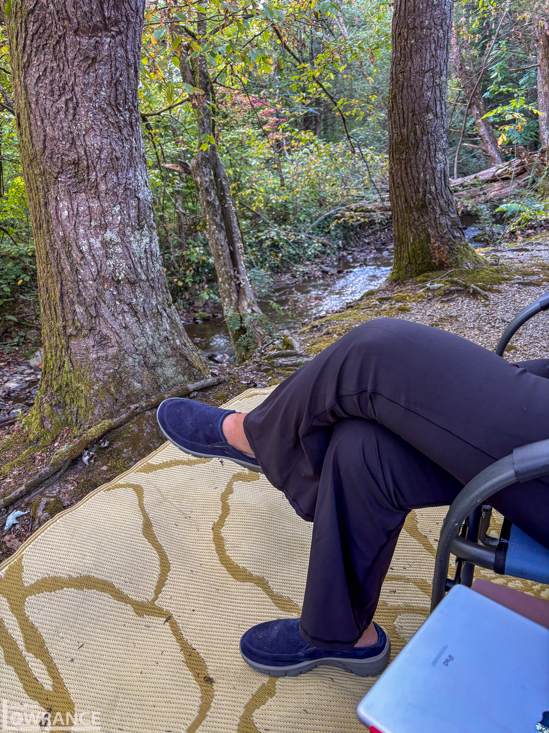 Stream at Twin Creeks