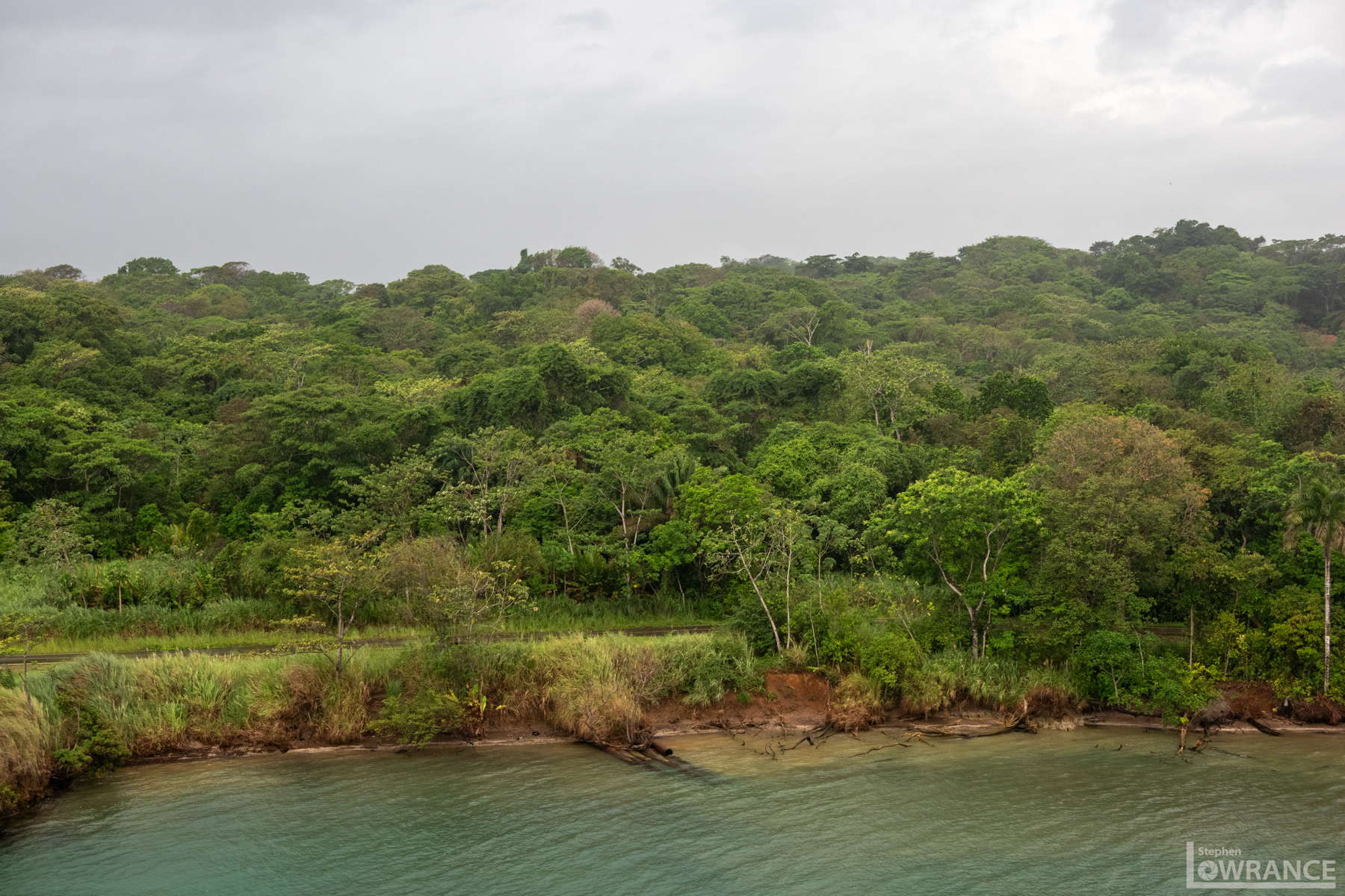Panama Jungle