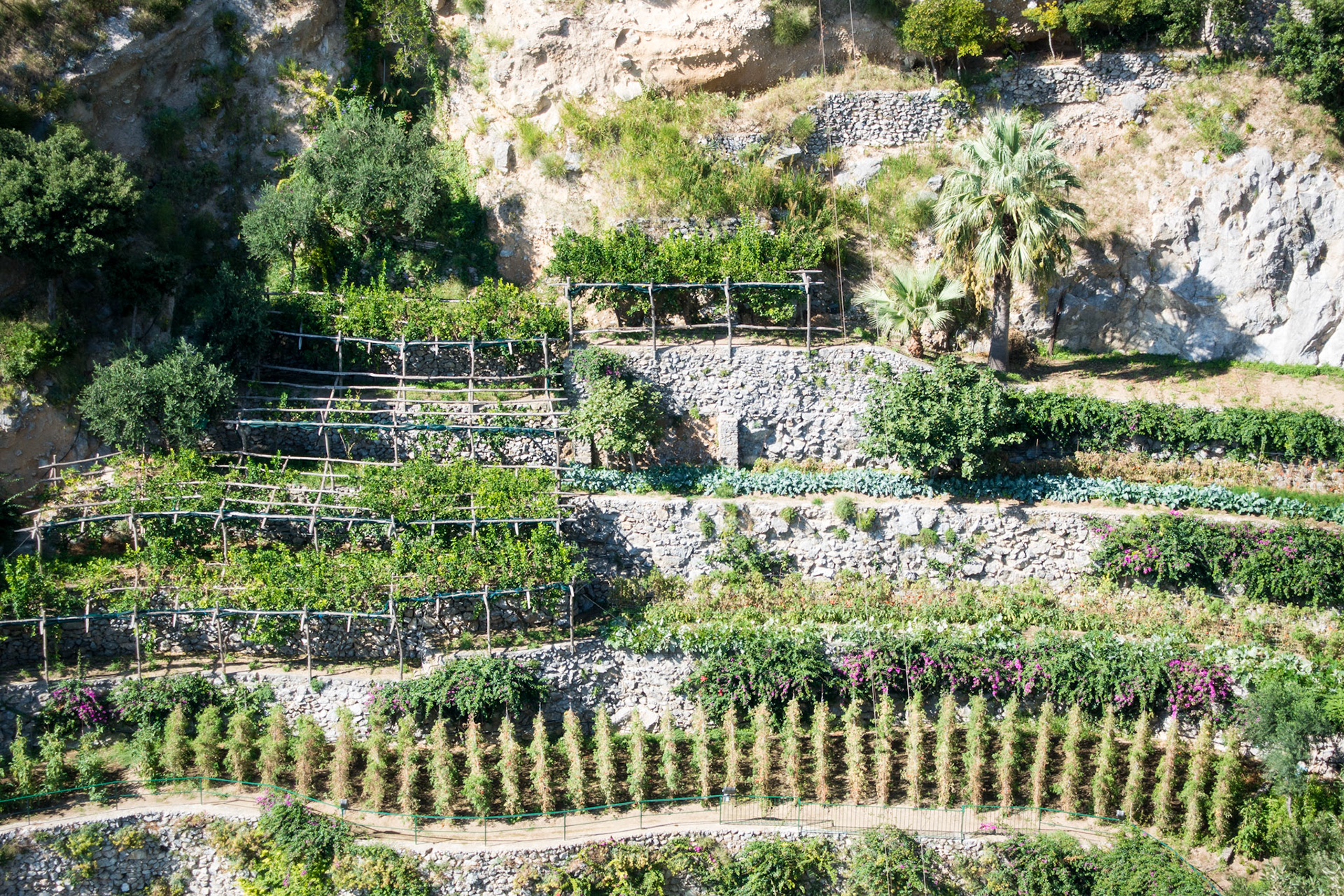 Il San Pietro garden