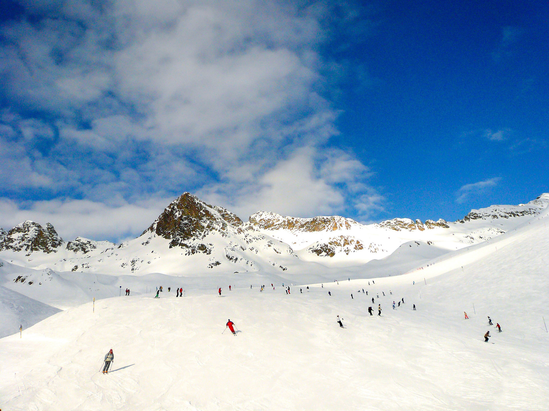 St Moritz Tres Fleurs