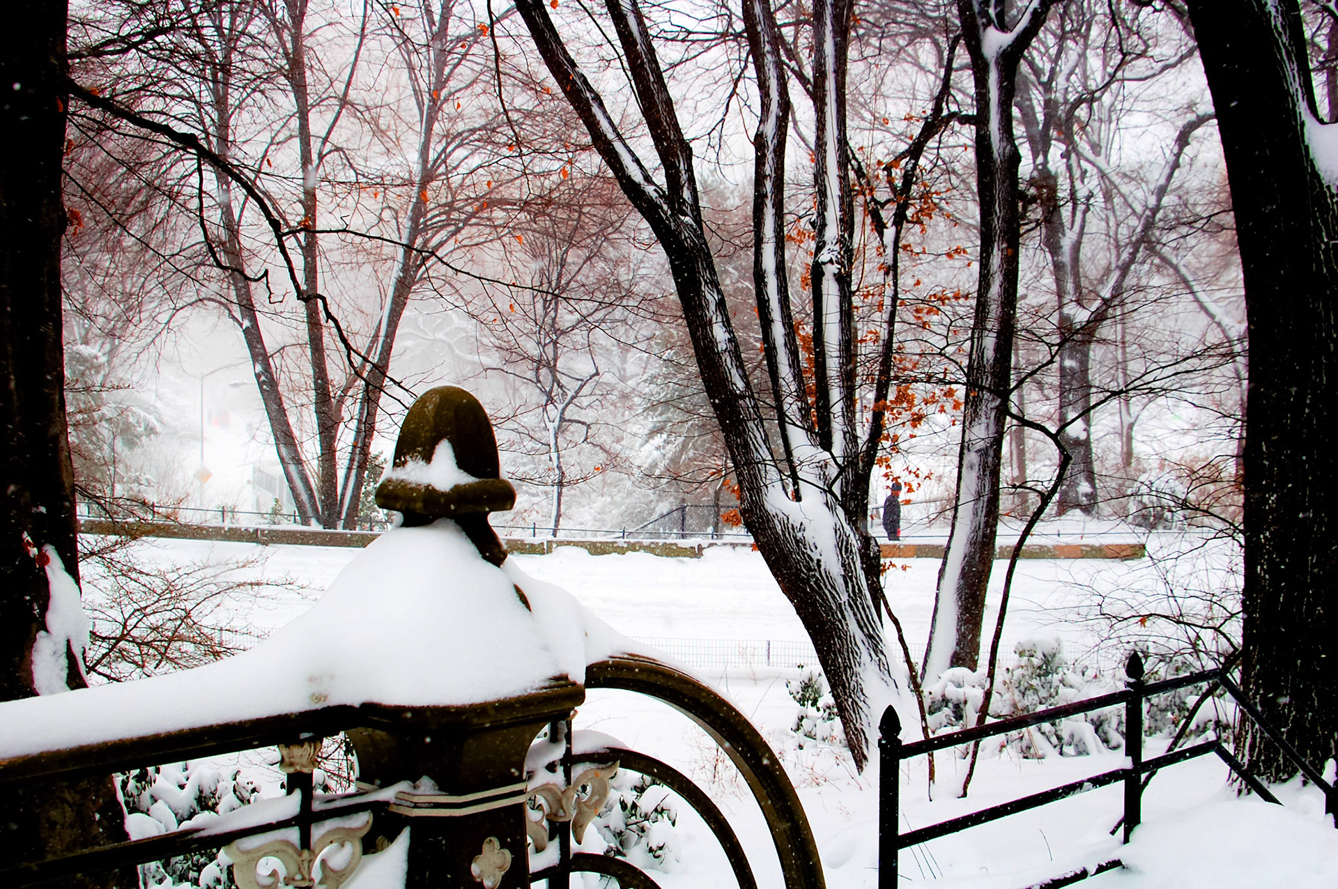 Central Park in Snow Cover