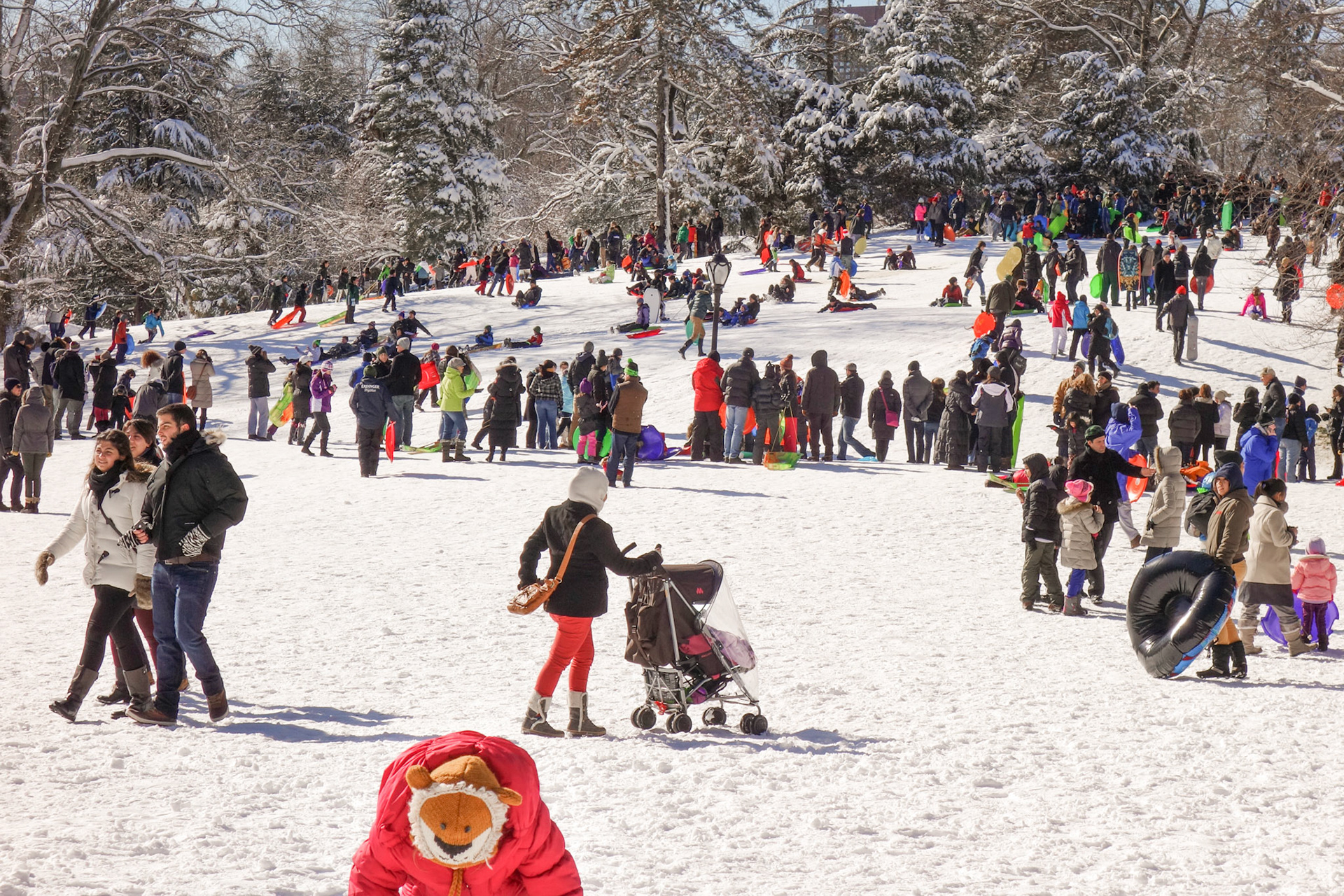 Winter in Central Park
