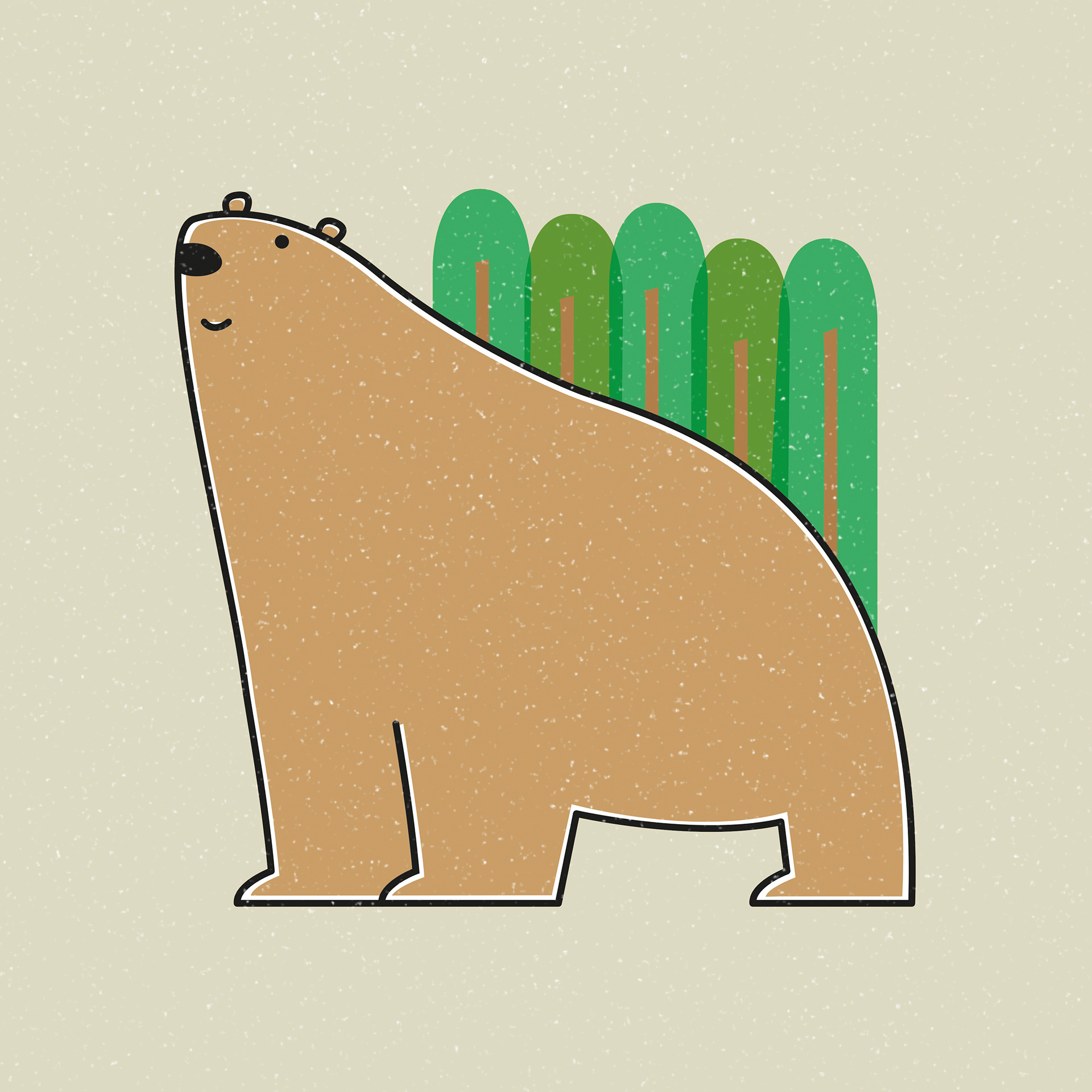 Cute Bear