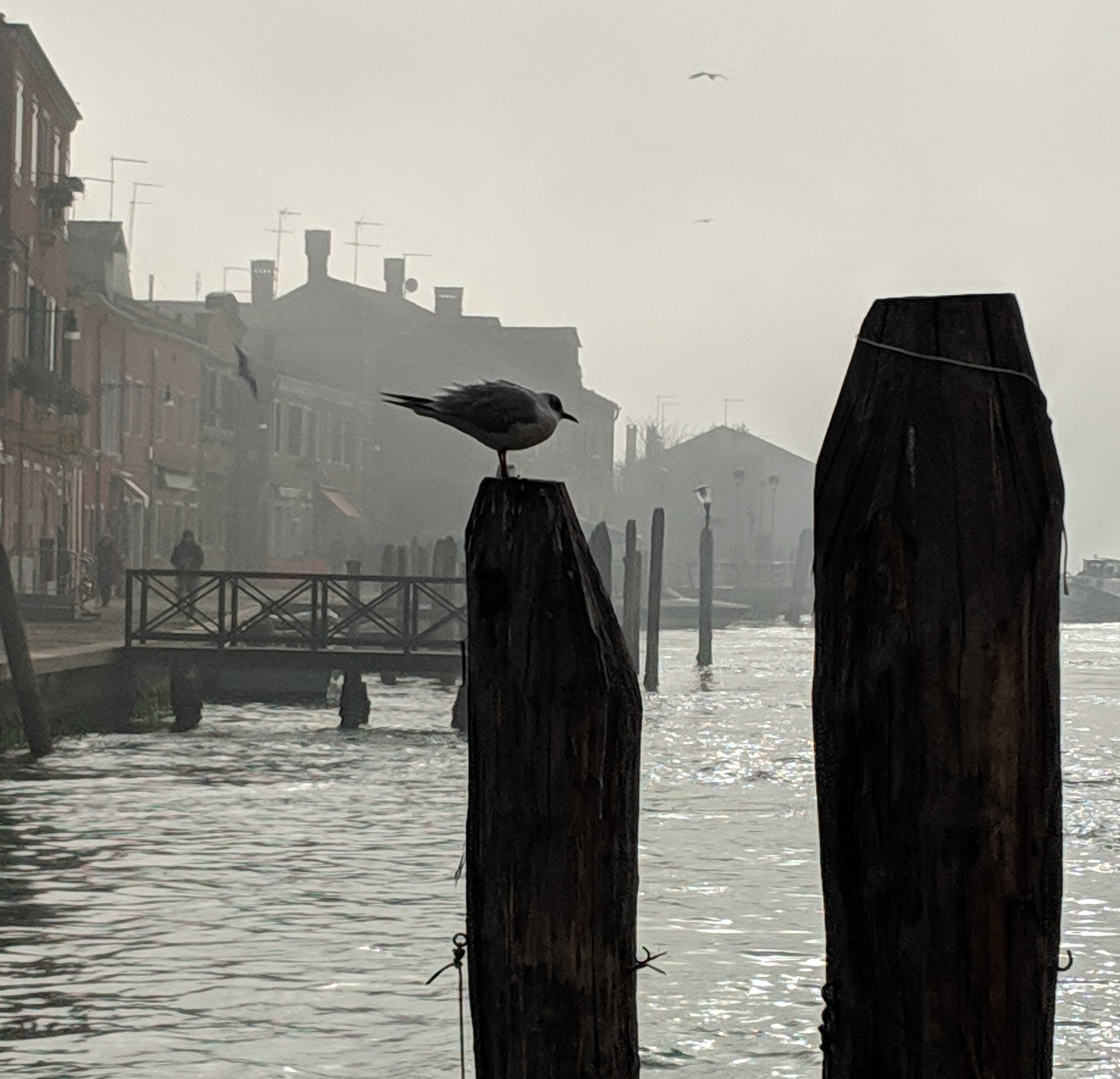 Foggy Venice