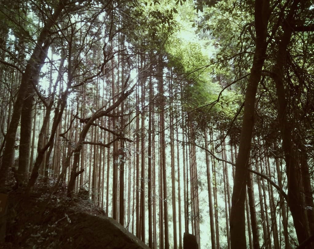 Mountains in Kyoto