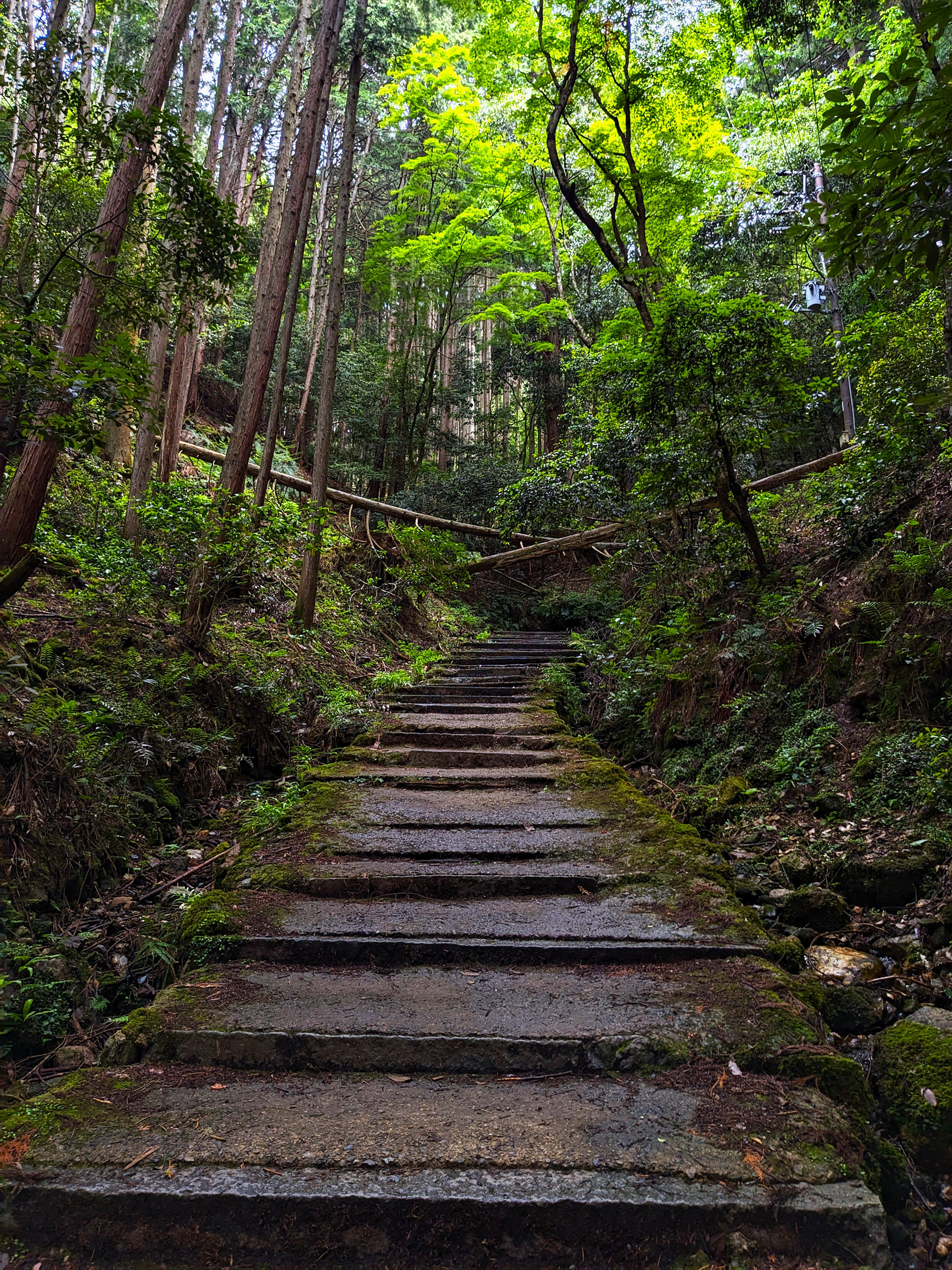 Kyoto Mountains