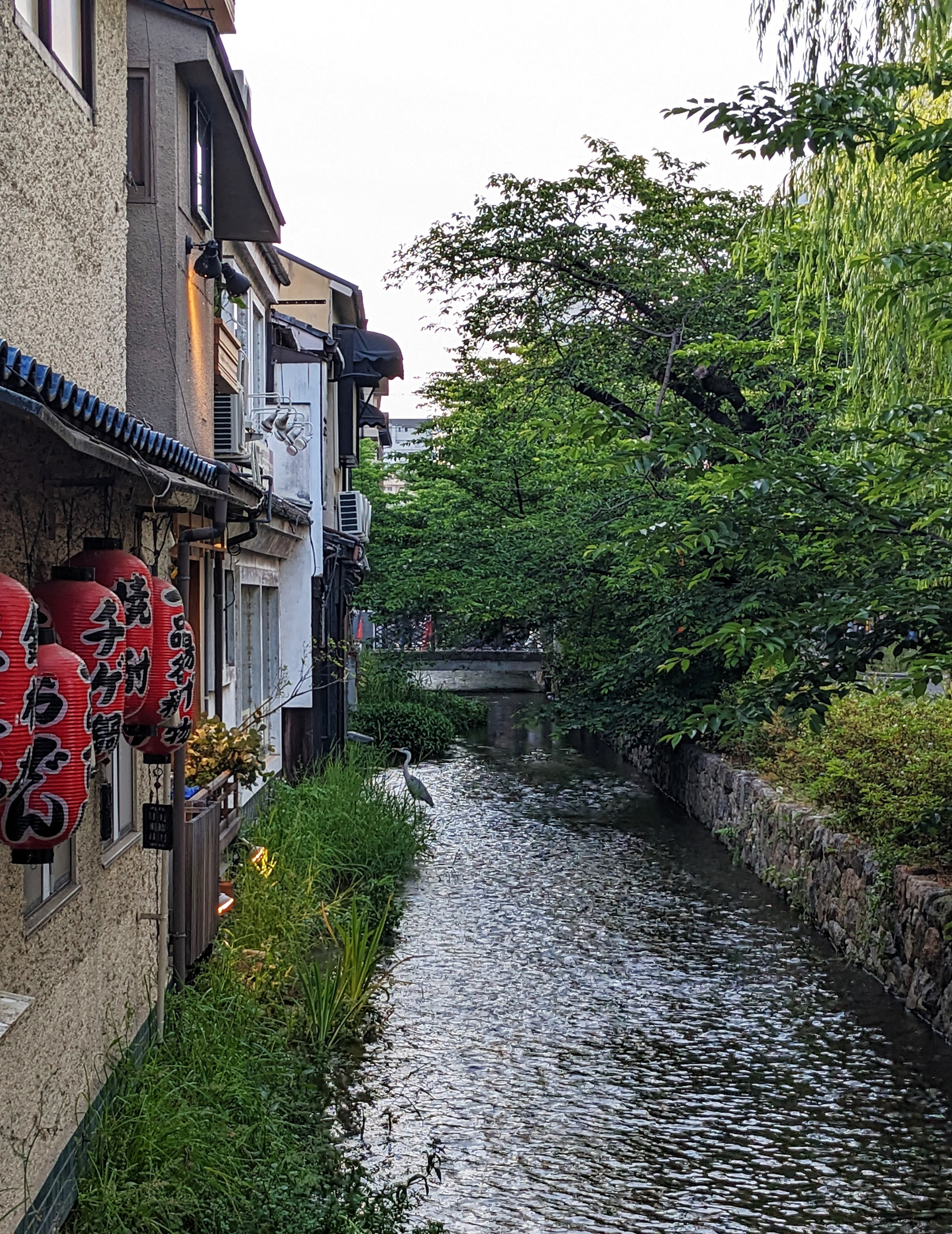 Gion District Crane