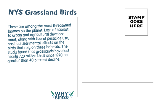 Back of Postcard