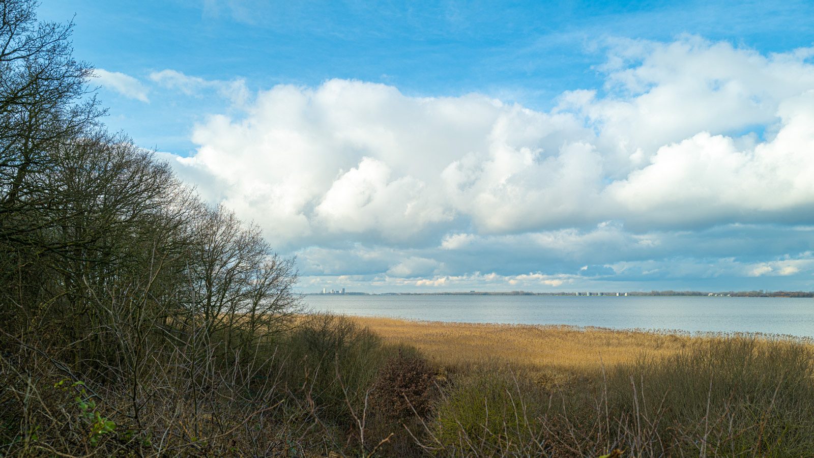 uitzicht vanaf de Gooimeerkust op Almere-Poort